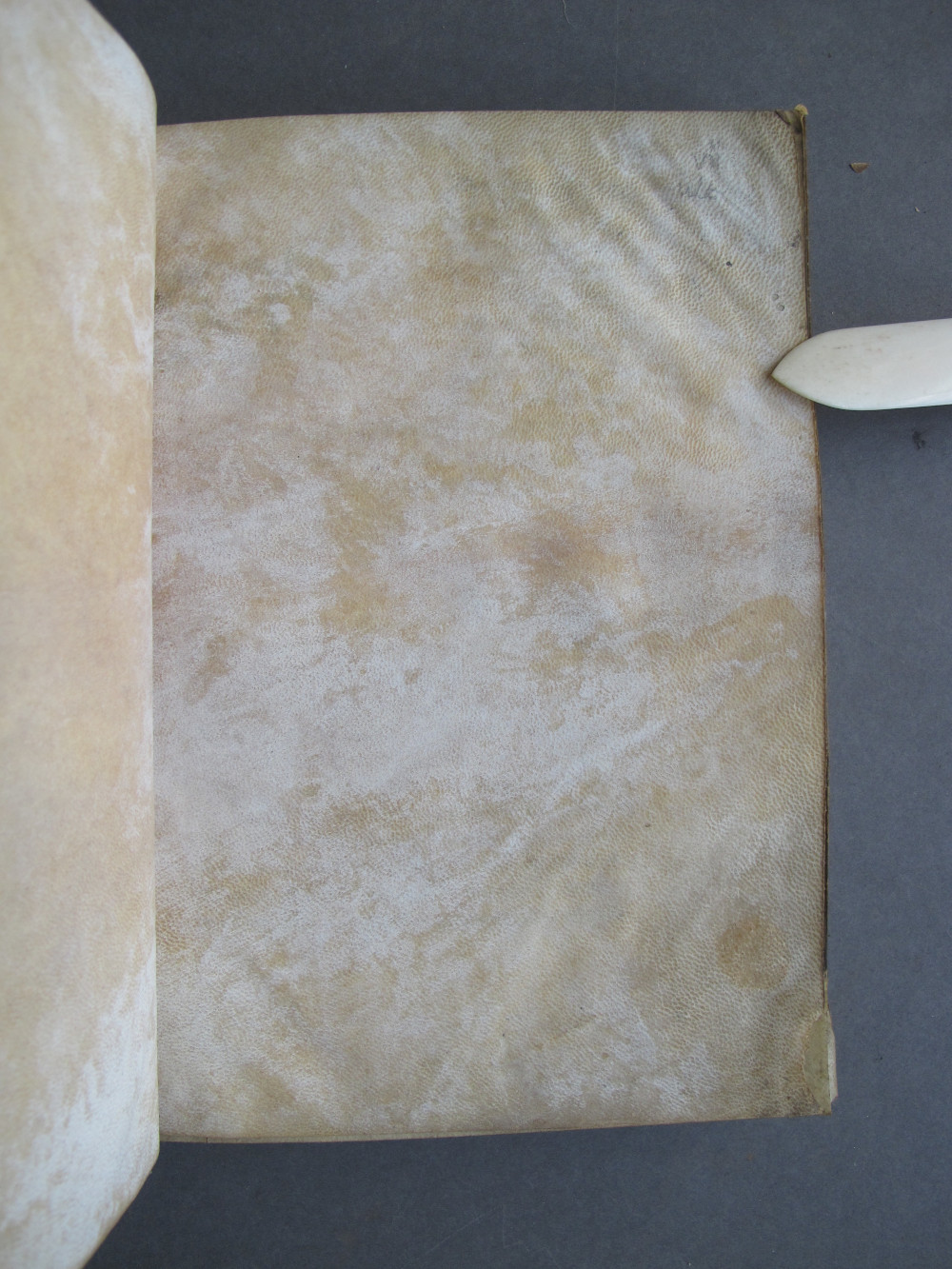Folio vii  recto