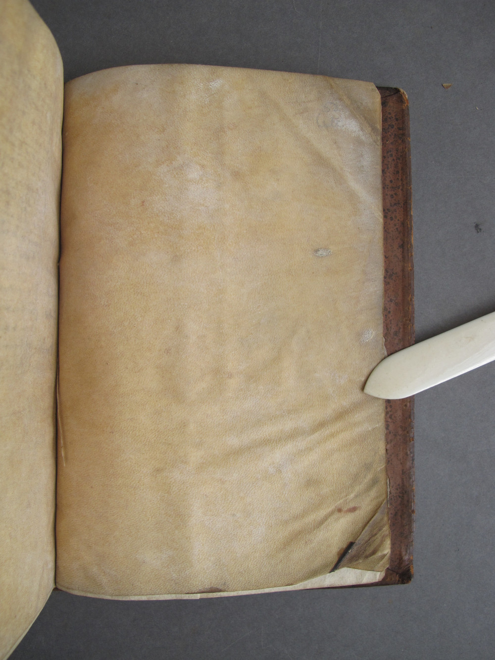 Folio 52 recto