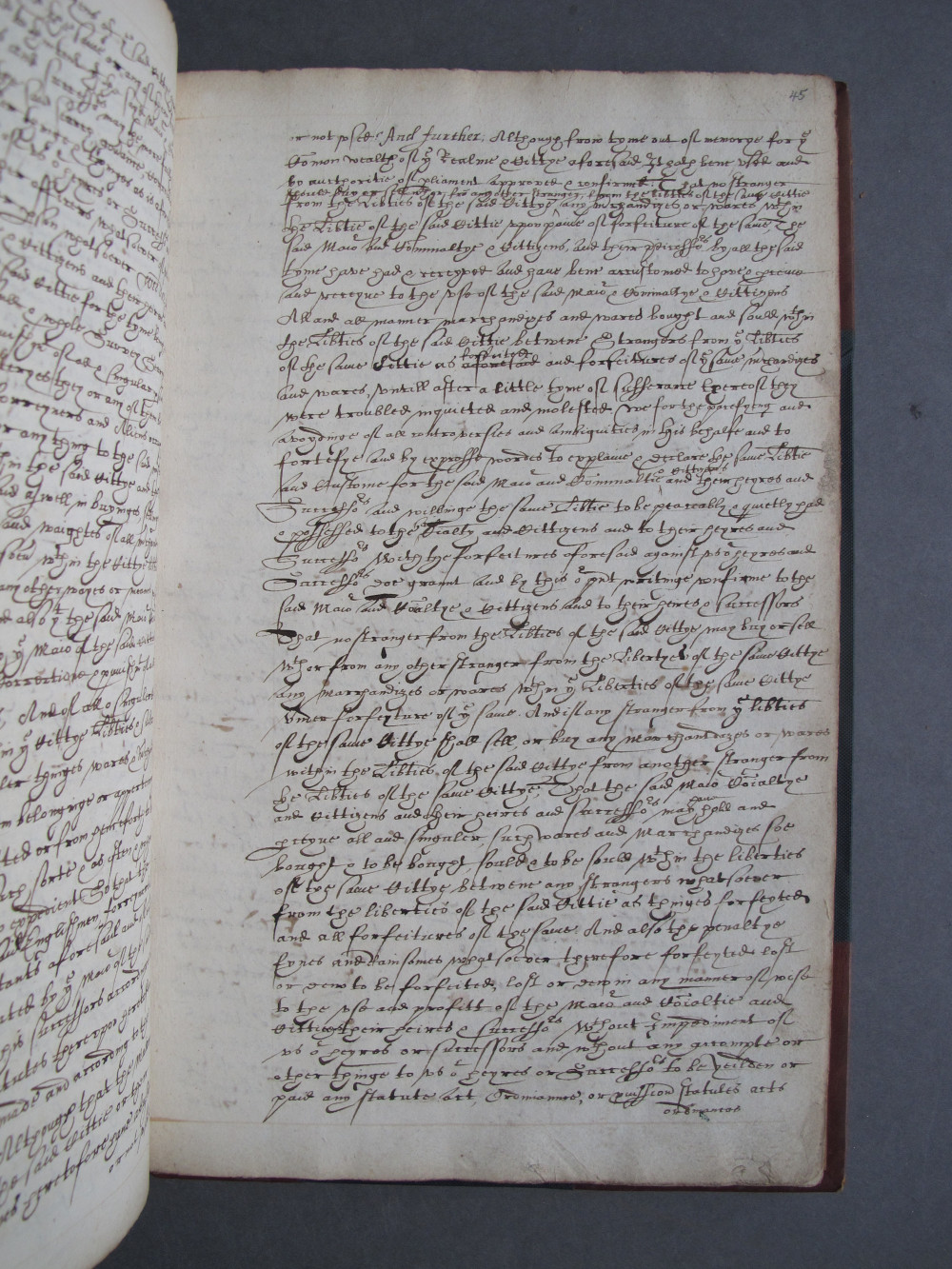 Page 45