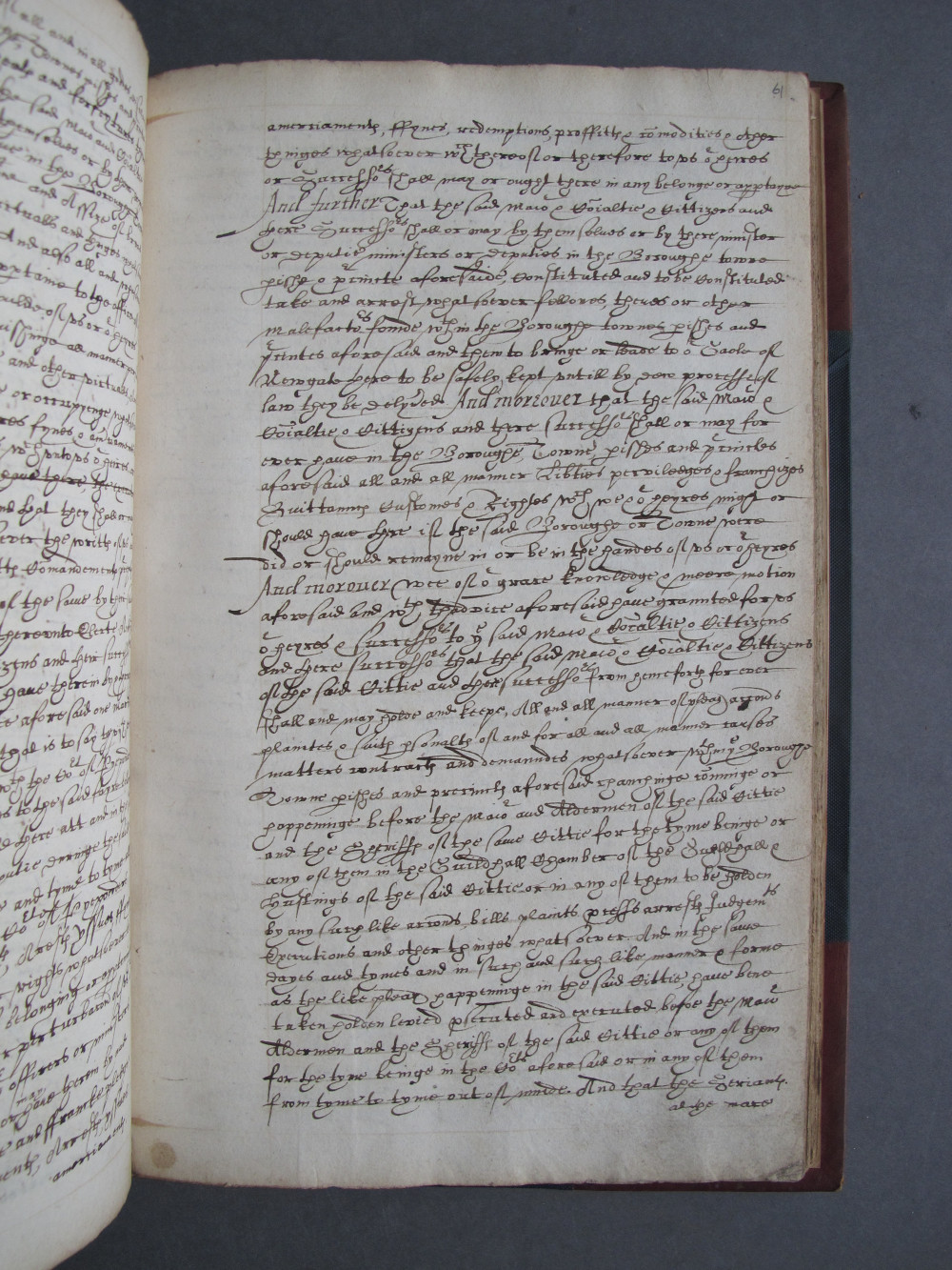 Page 61