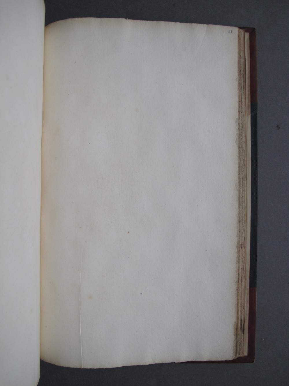 Page 113