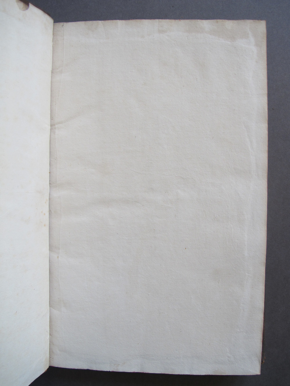 Page iii