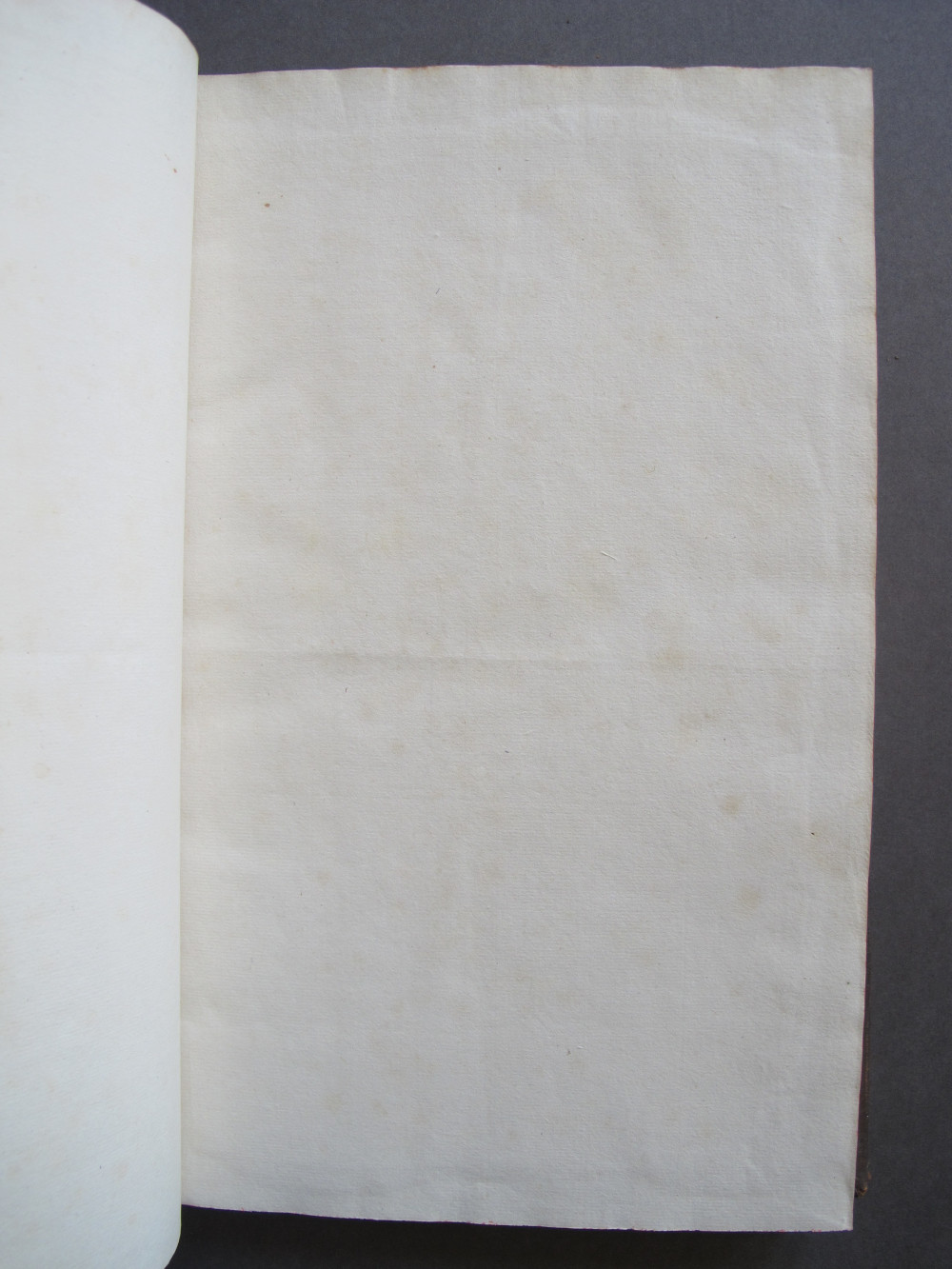 Page vii