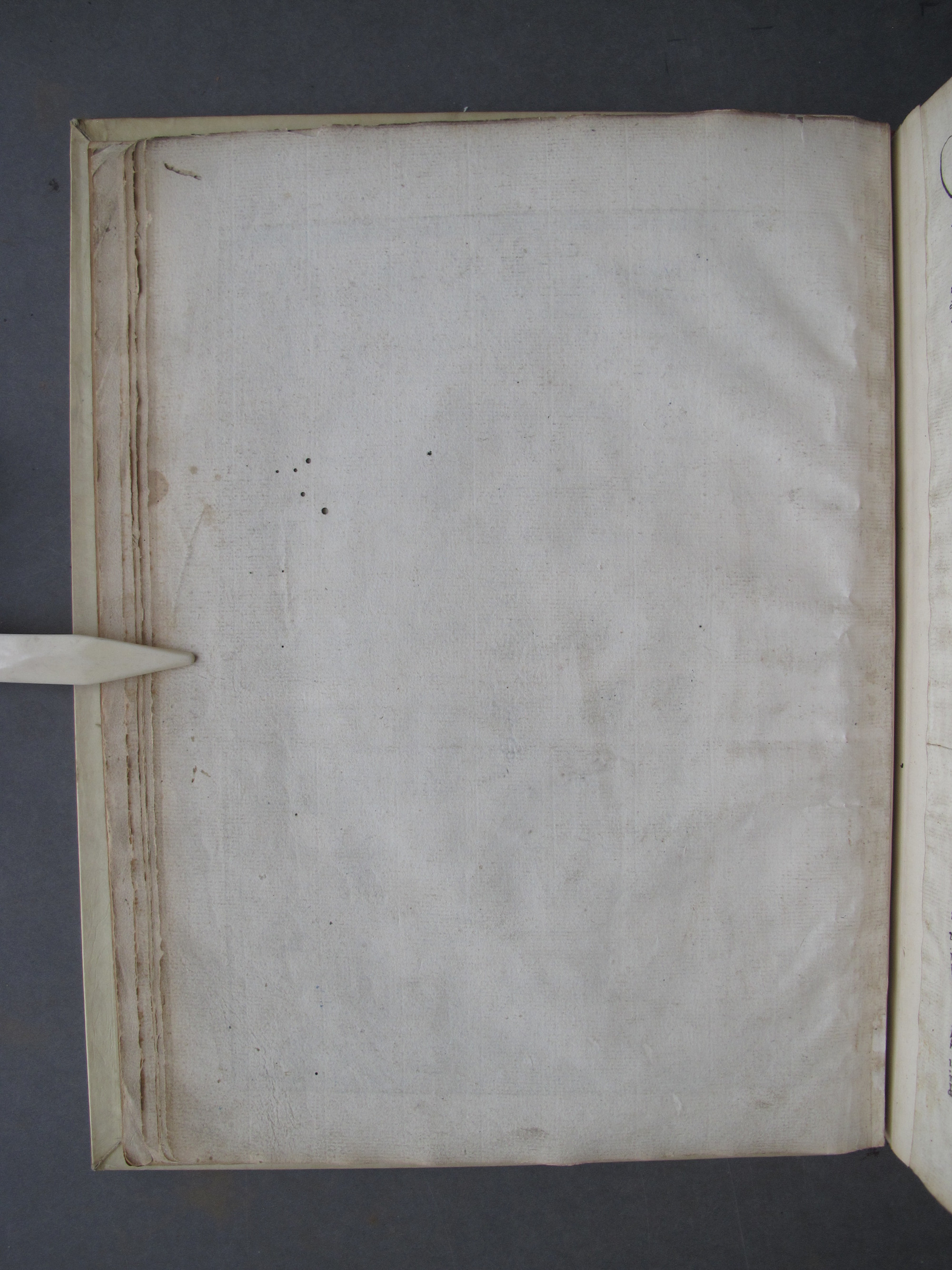 Folio 8 verso