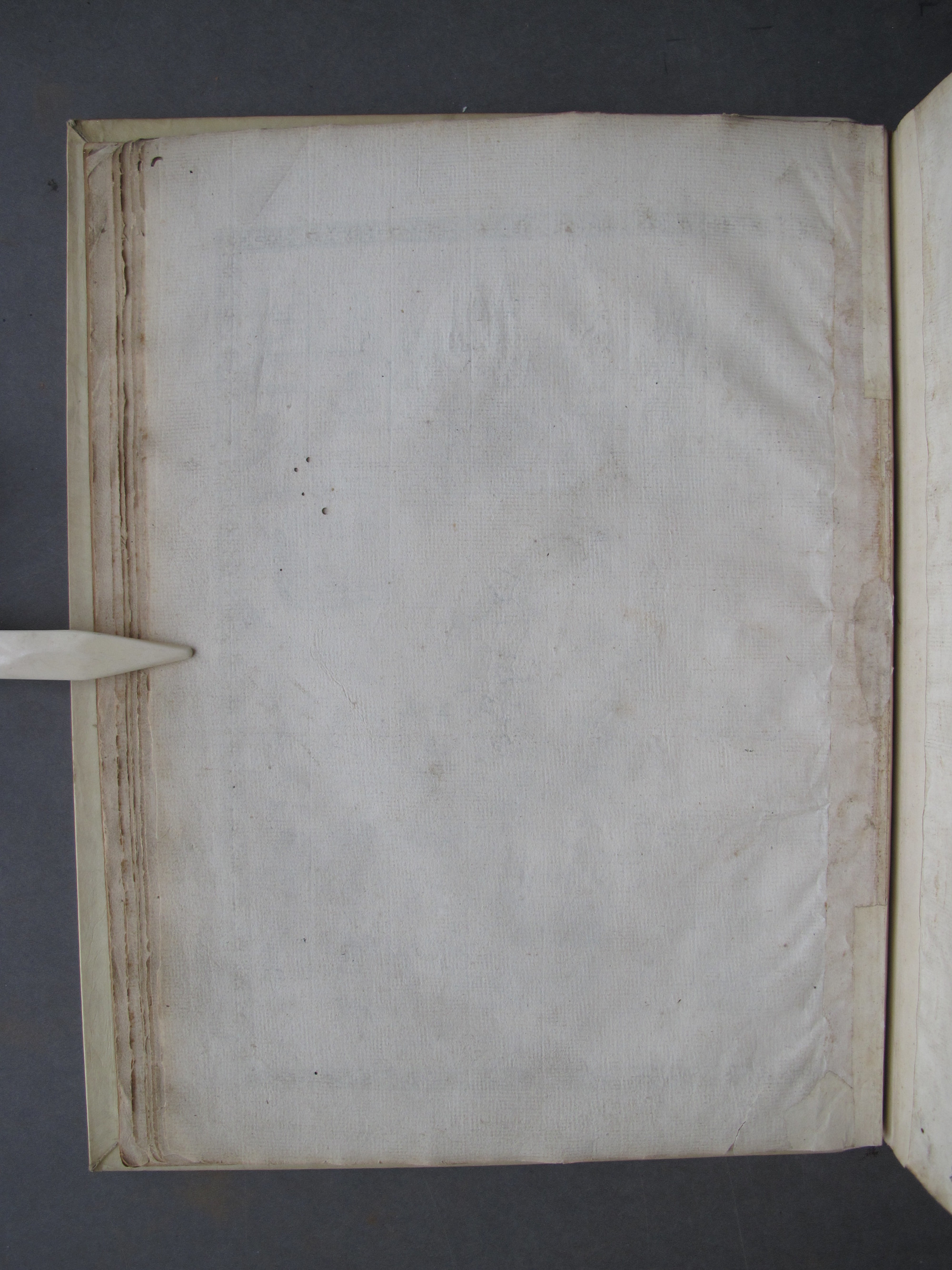 Folio 12 verso