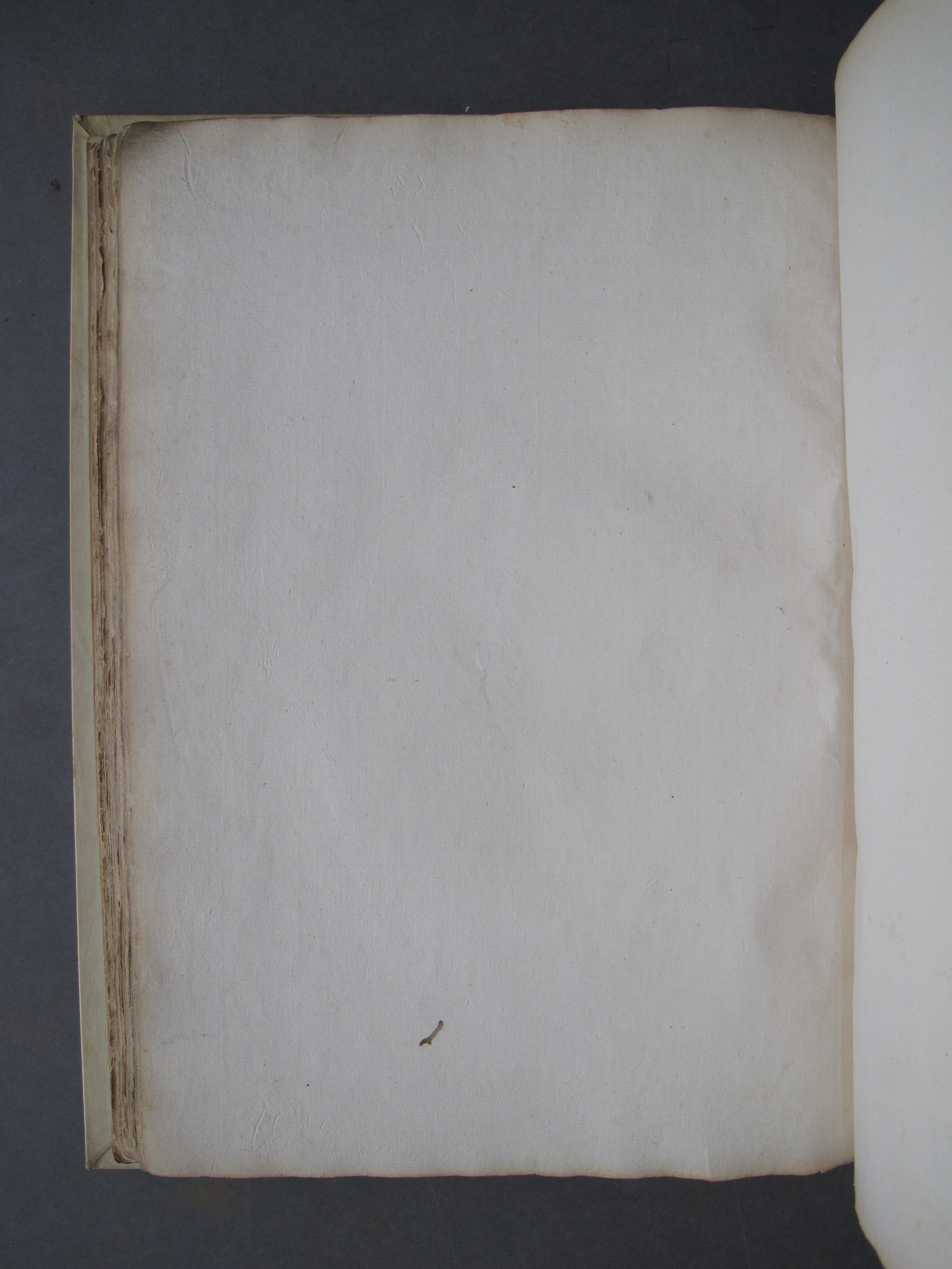 Folio 39 verso