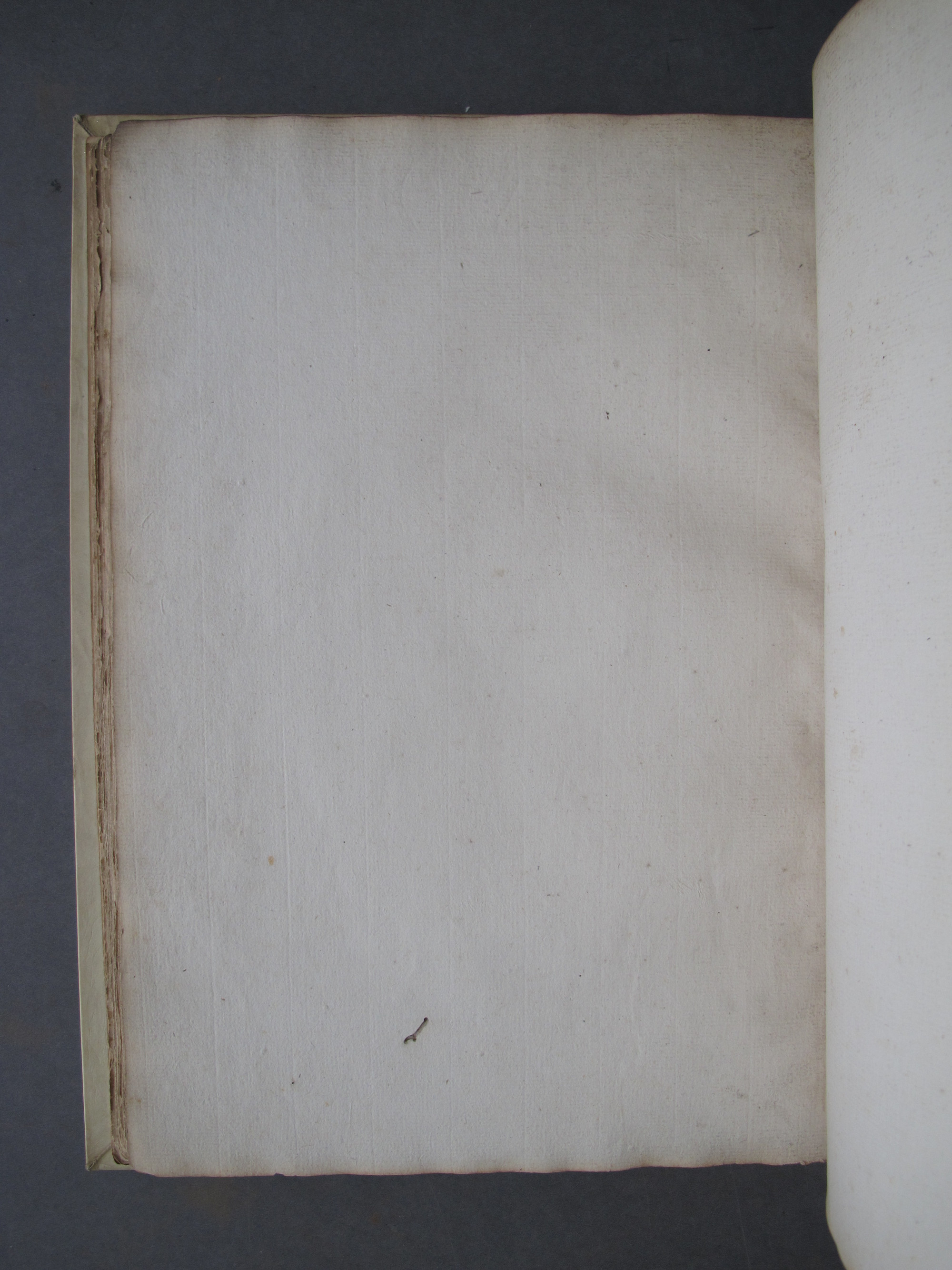 Folio 40 verso