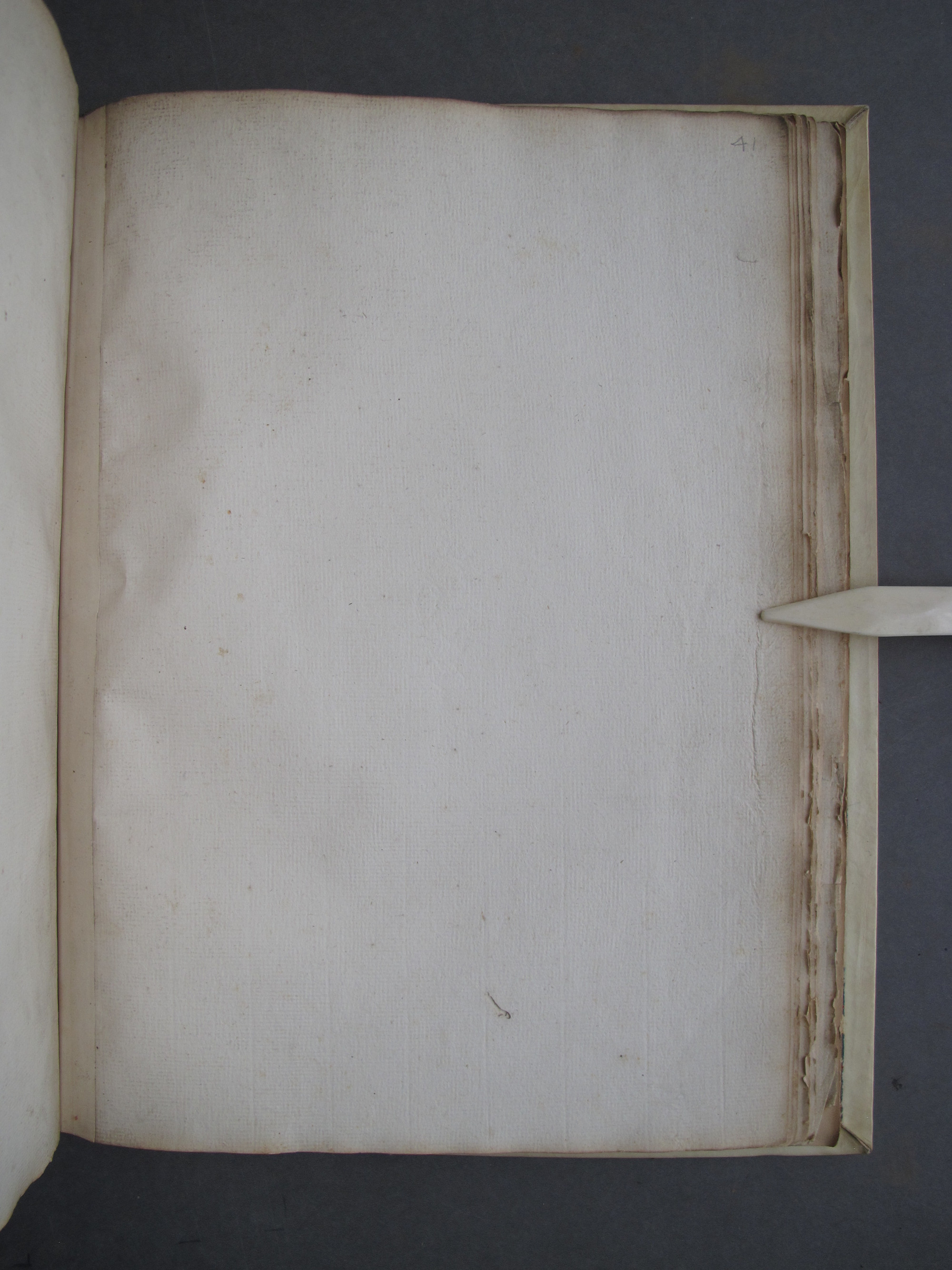 Folio 41 recto