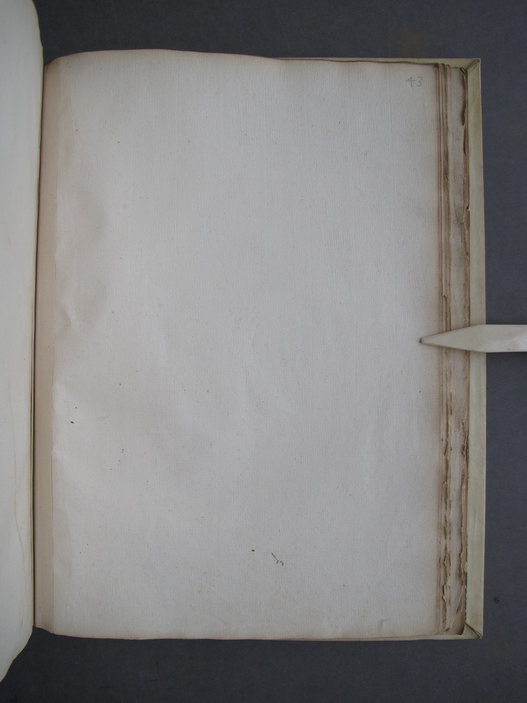 Folio 43 recto