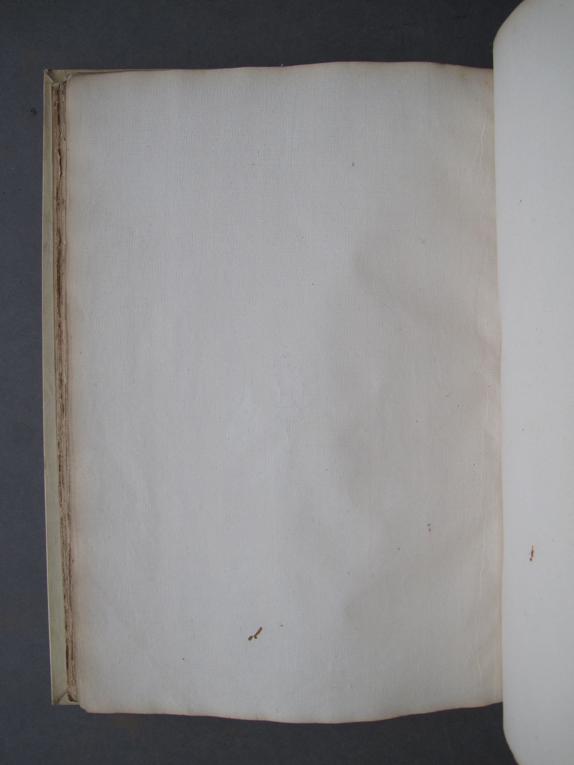 Folio 43 verso