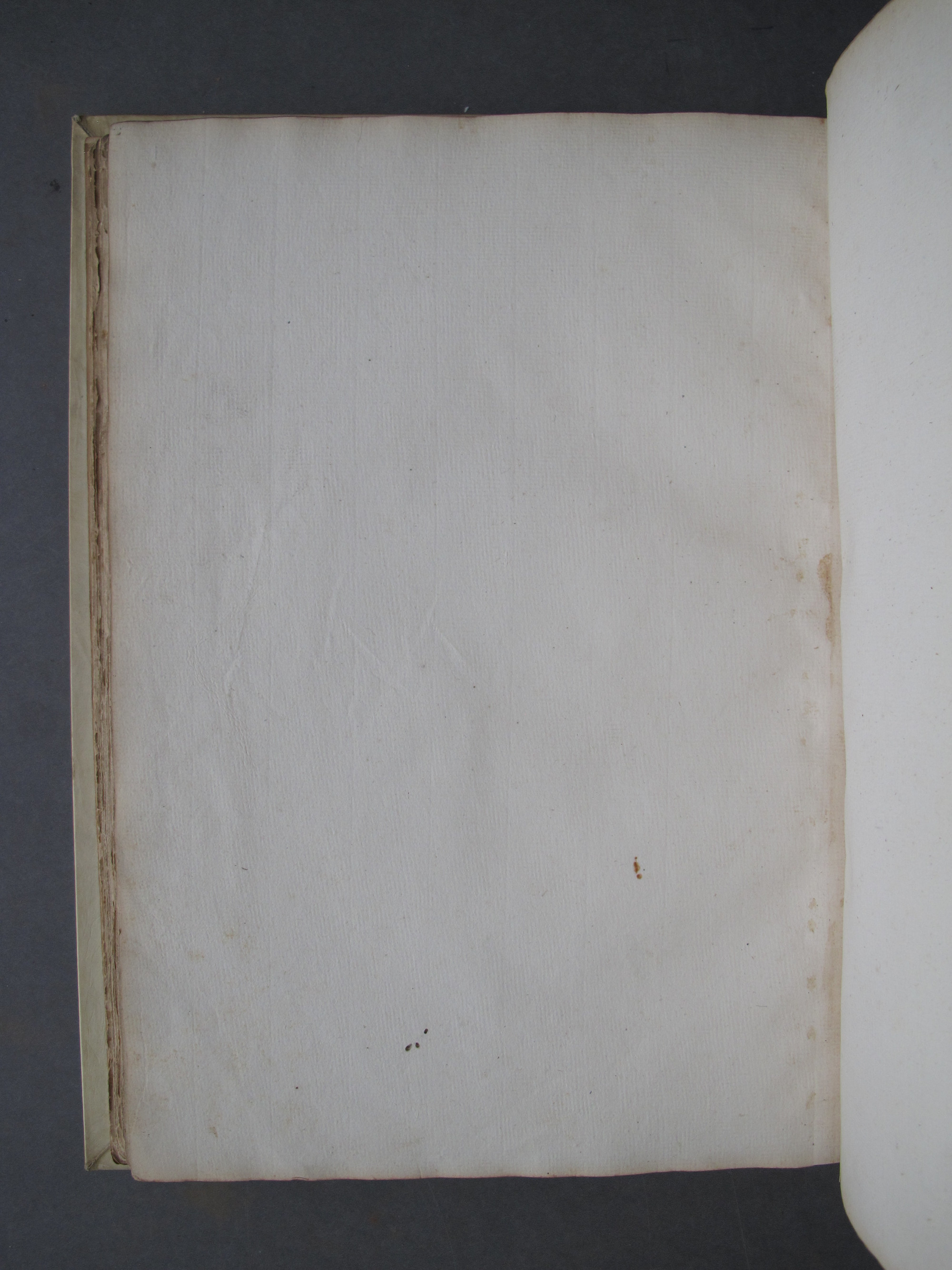 Folio 44 verso