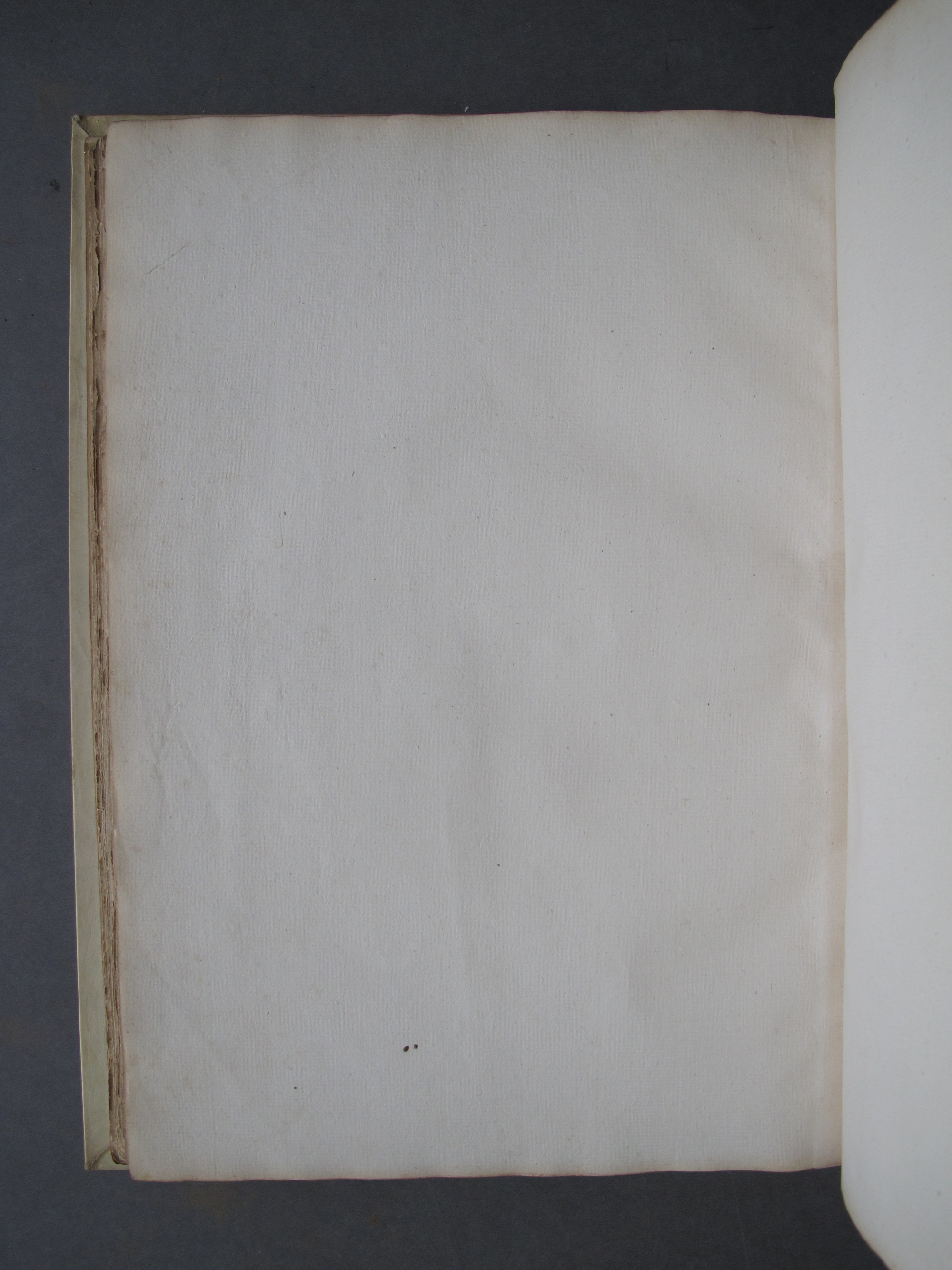 Folio 45 verso