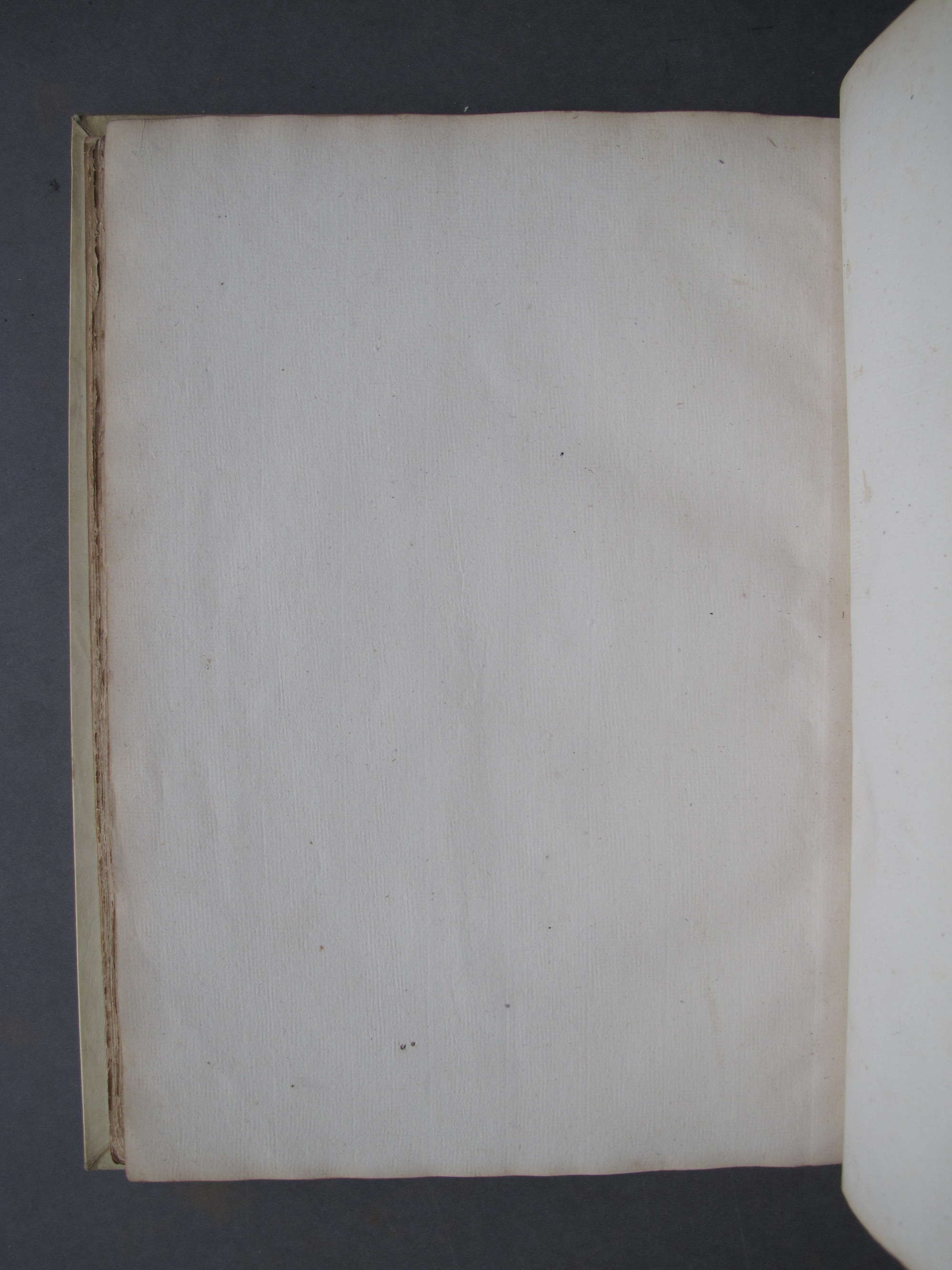 Folio 46 verso