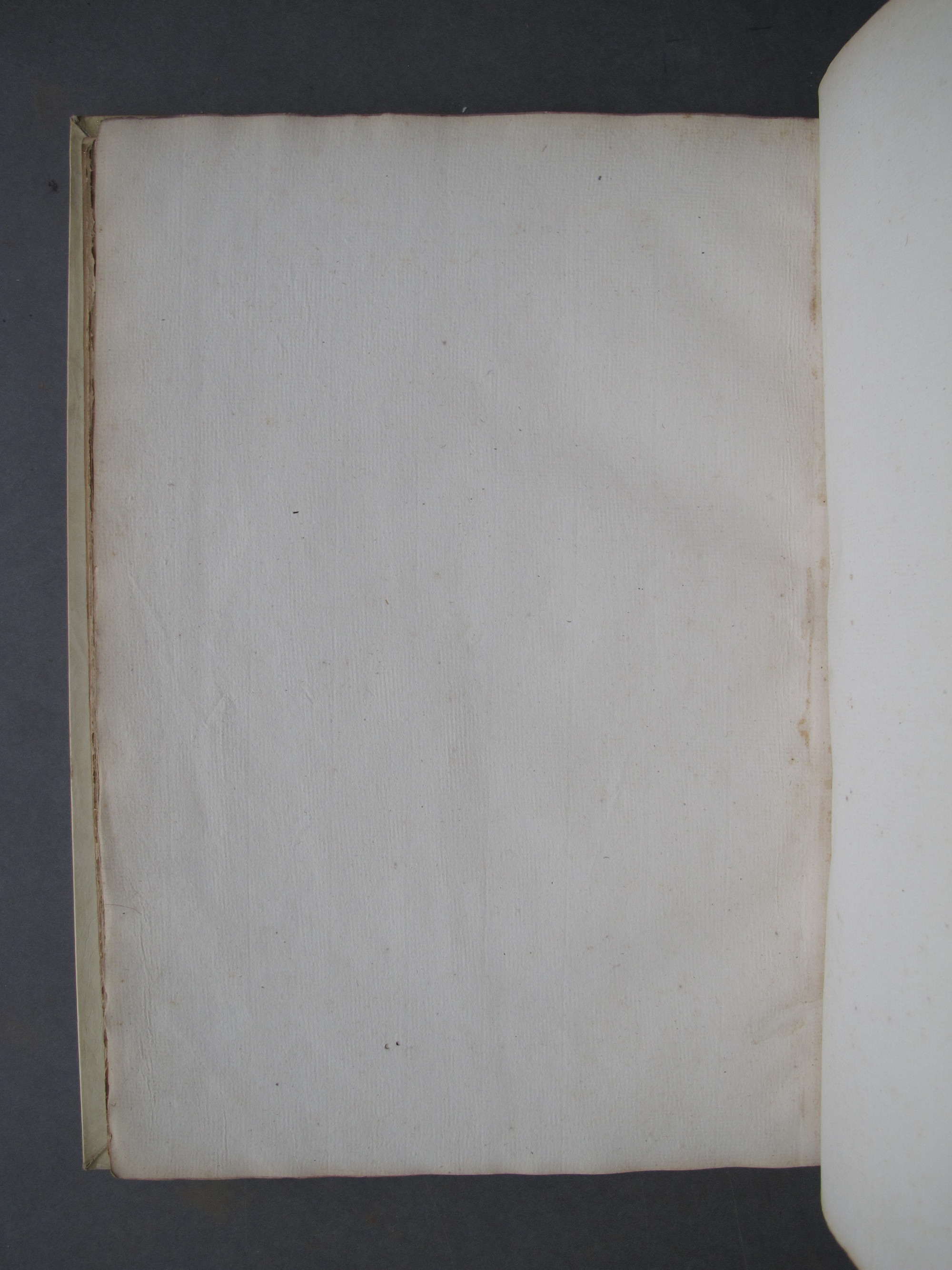 Folio 48 verso