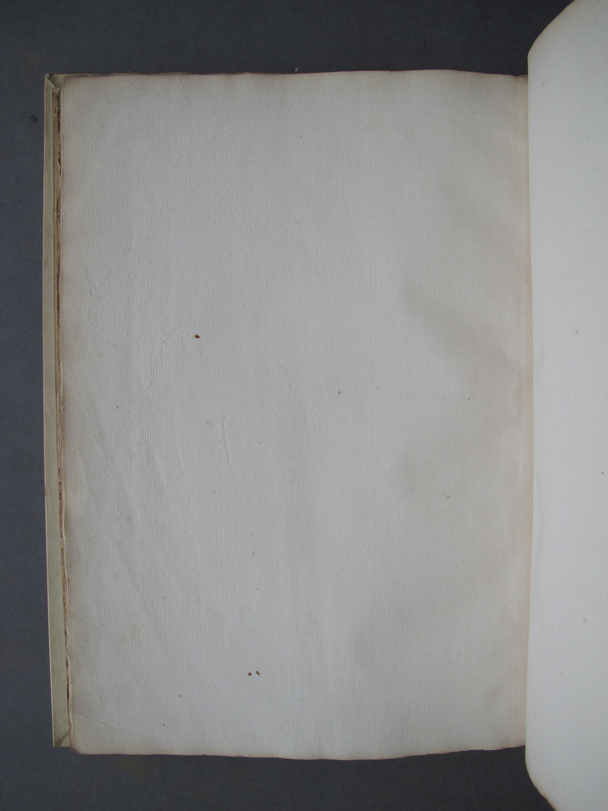 Folio 49 verso