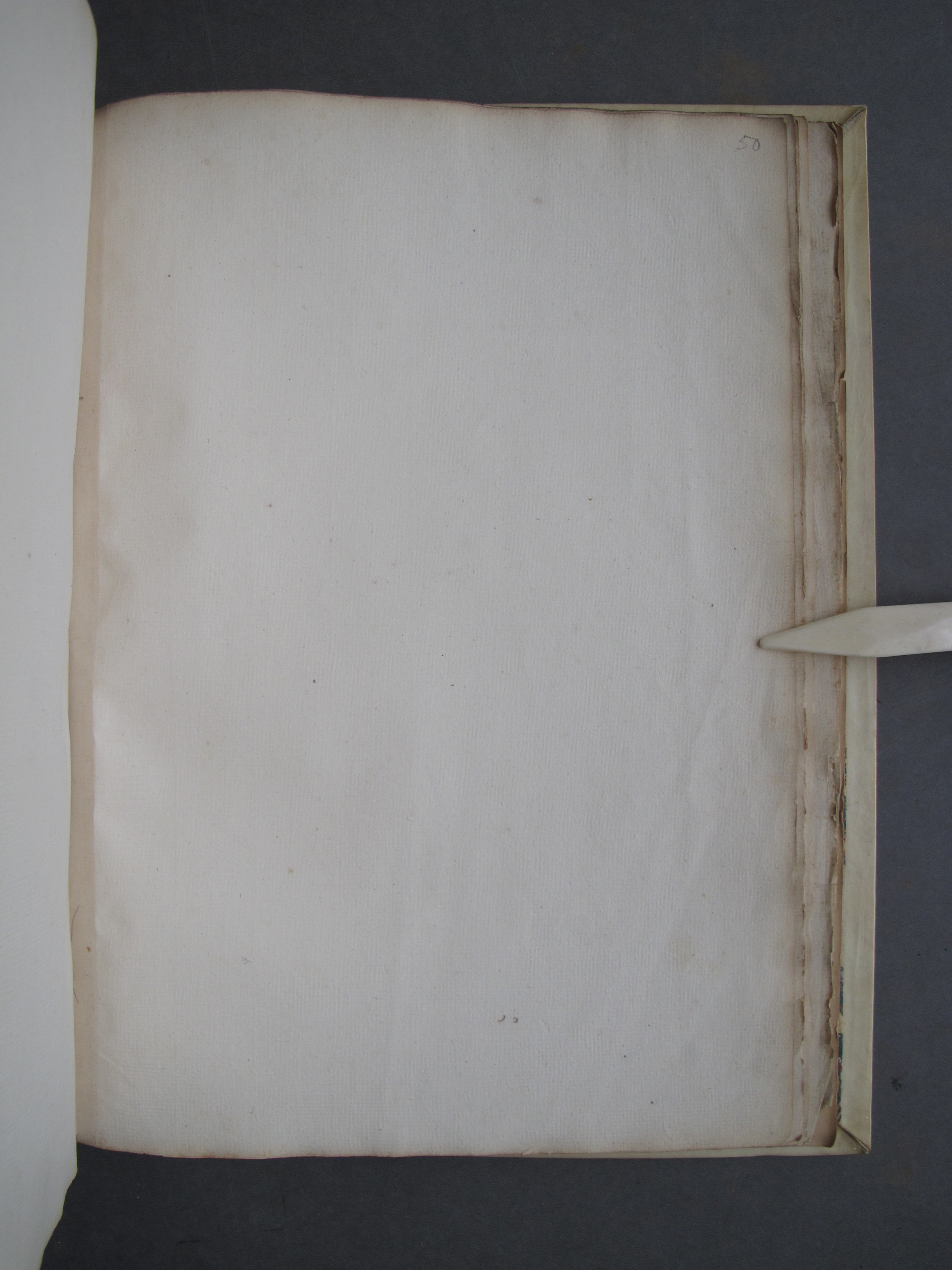 Folio 50 recto