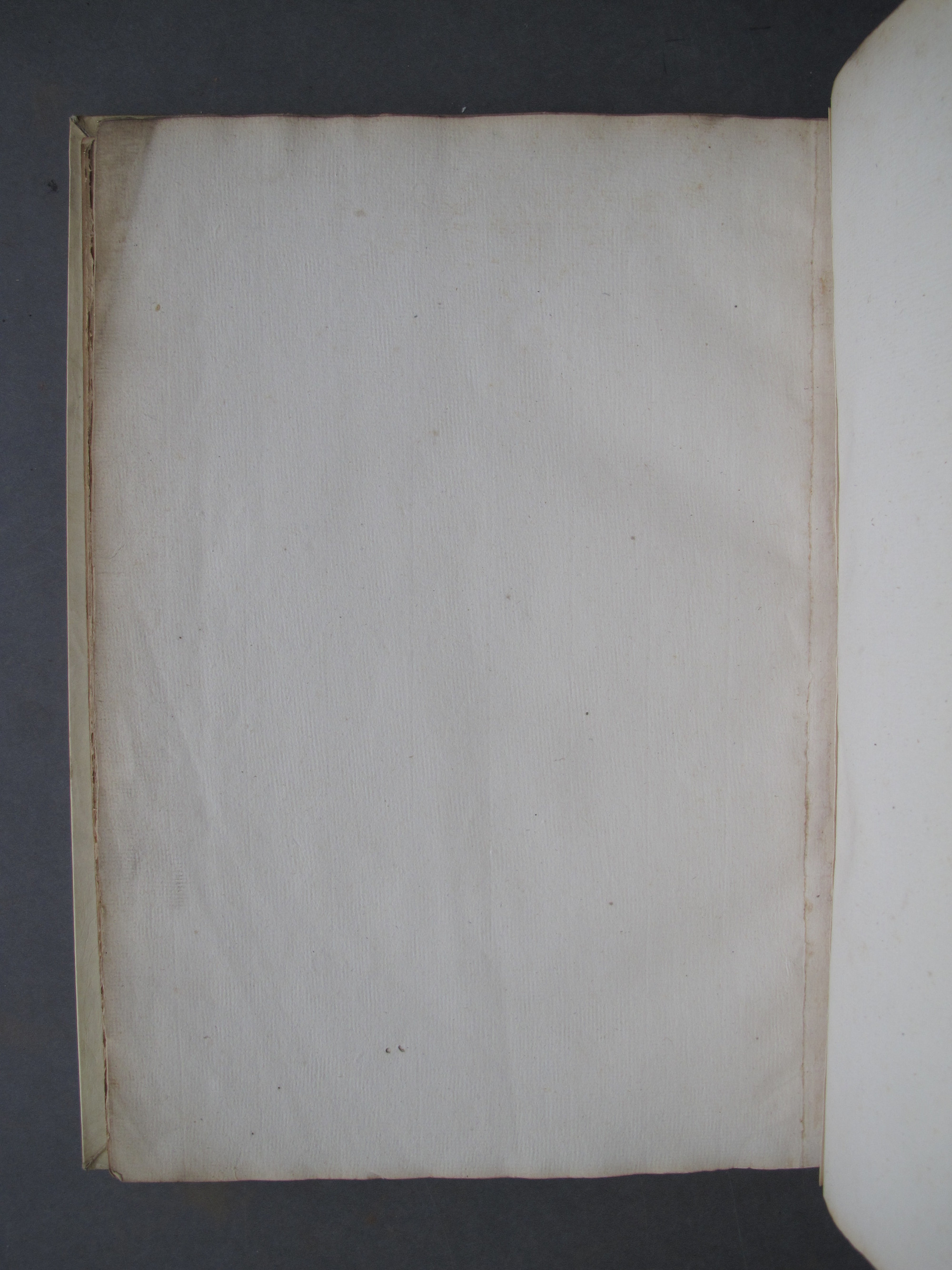 Folio 50 verso