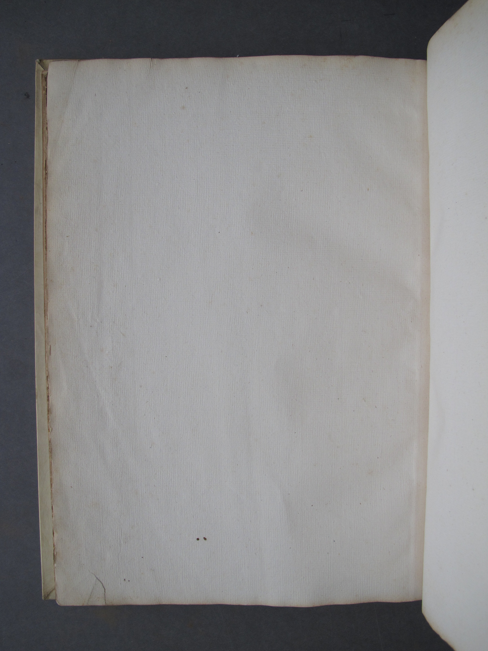 Folio 51 verso