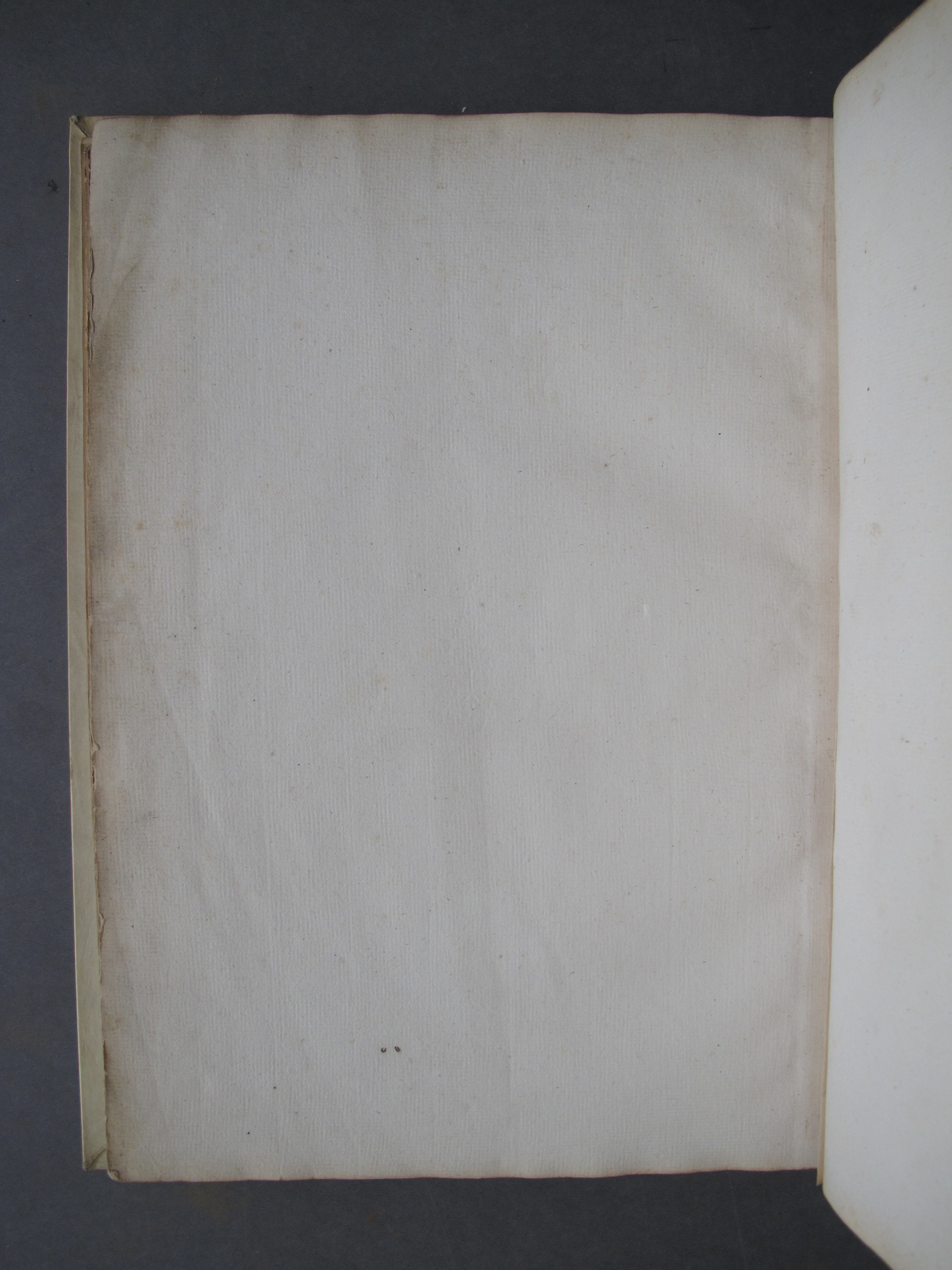 Folio 52 verso