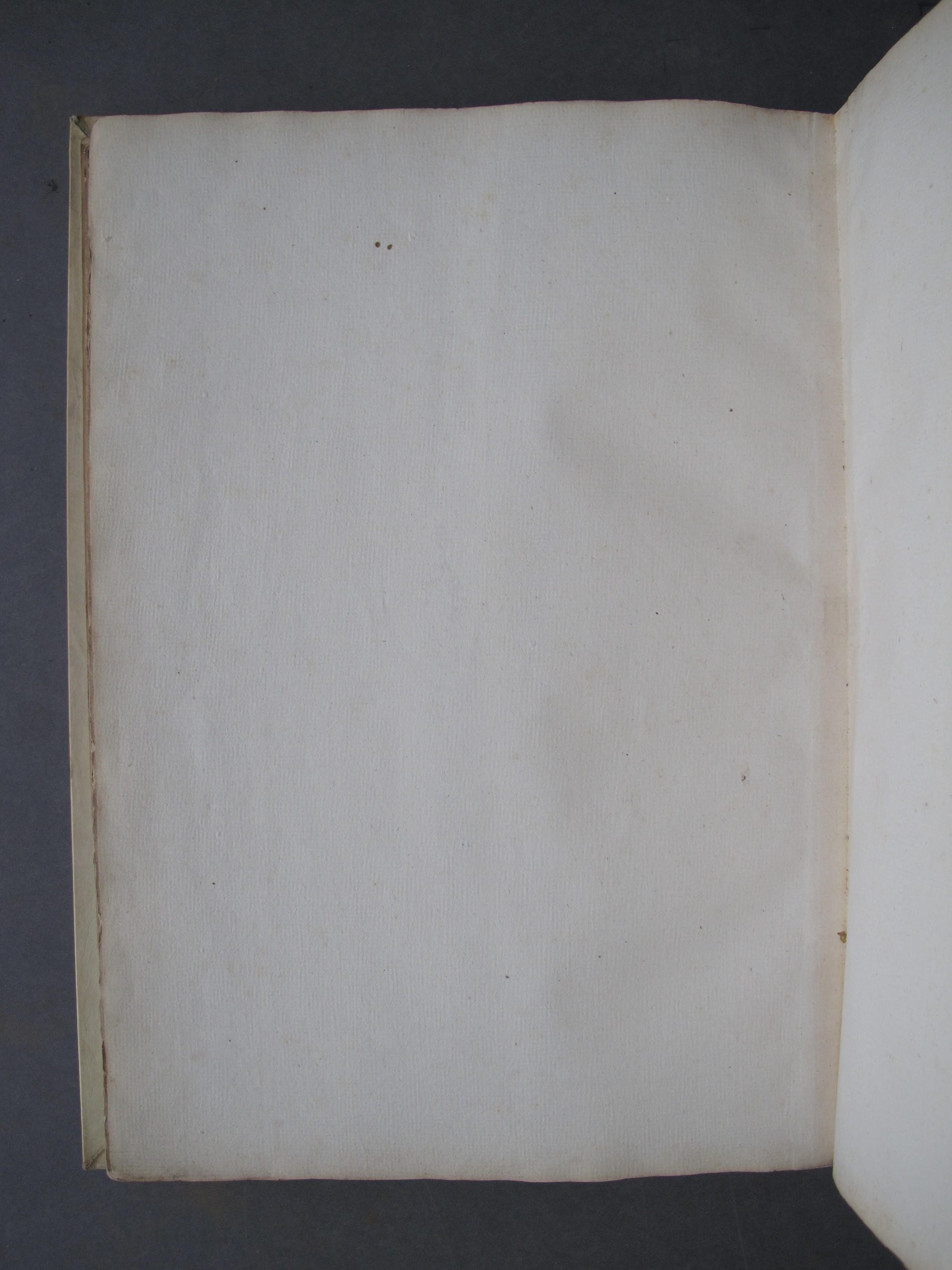 Folio 53 verso