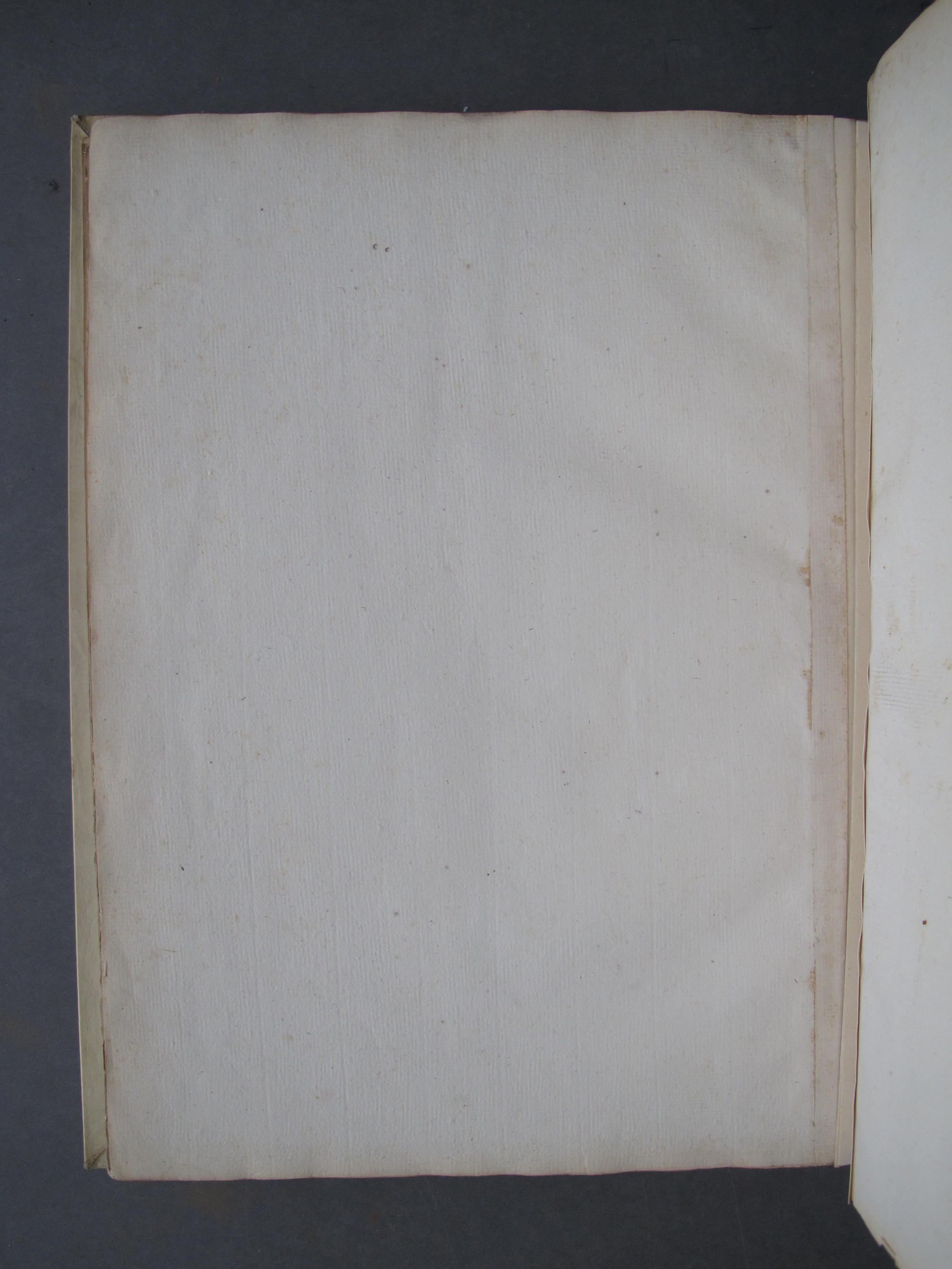 Folio 54 verso