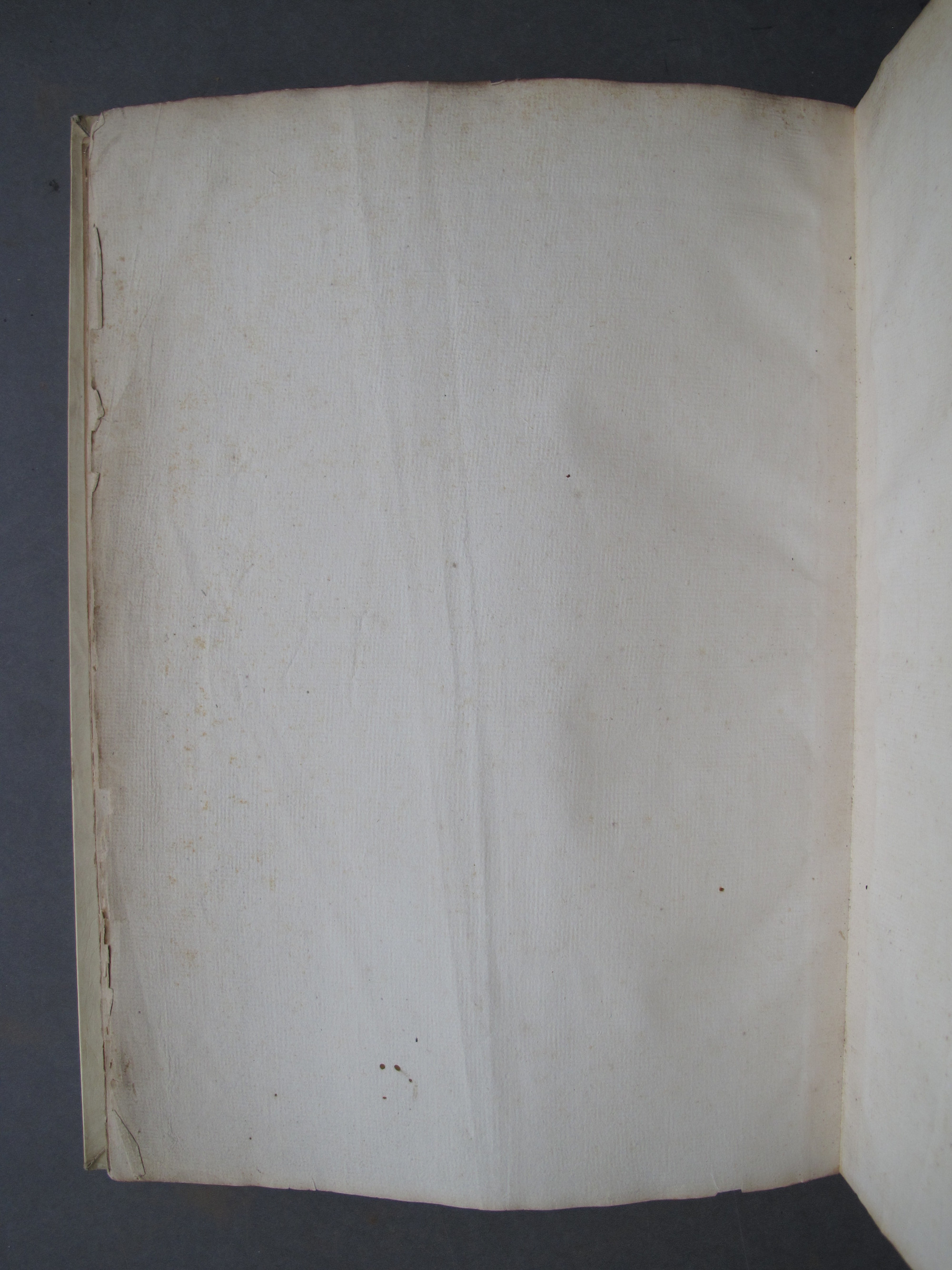 Folio 55 verso