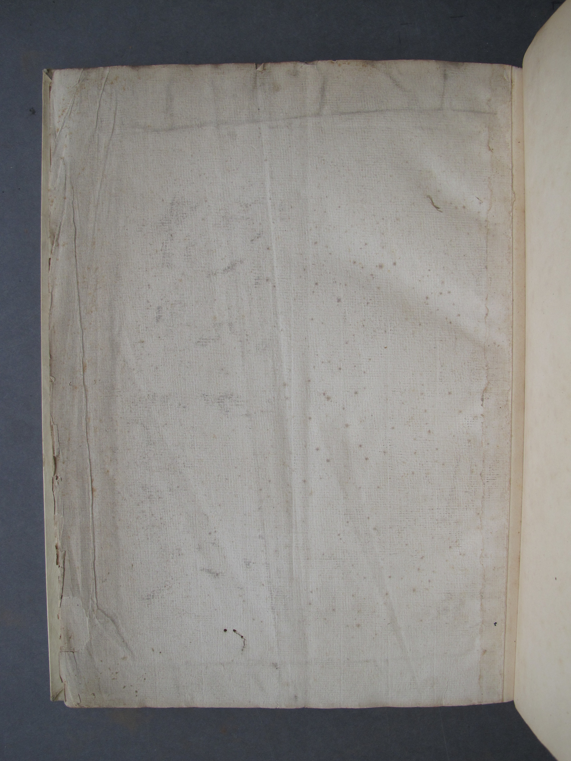 Folio 56 verso
