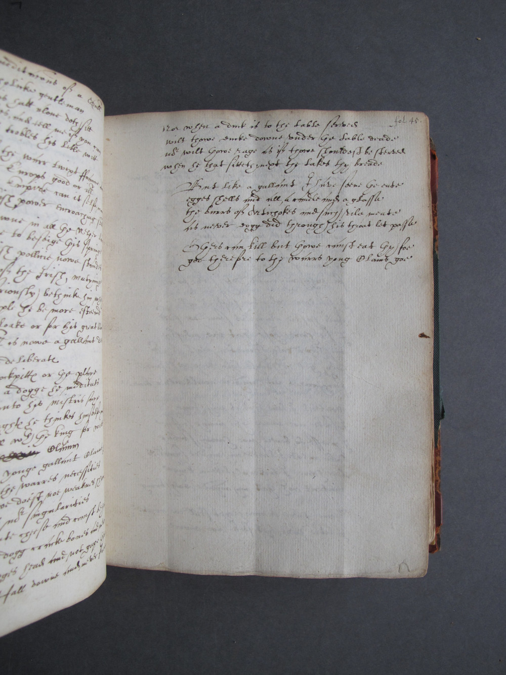 Folio 45 recto