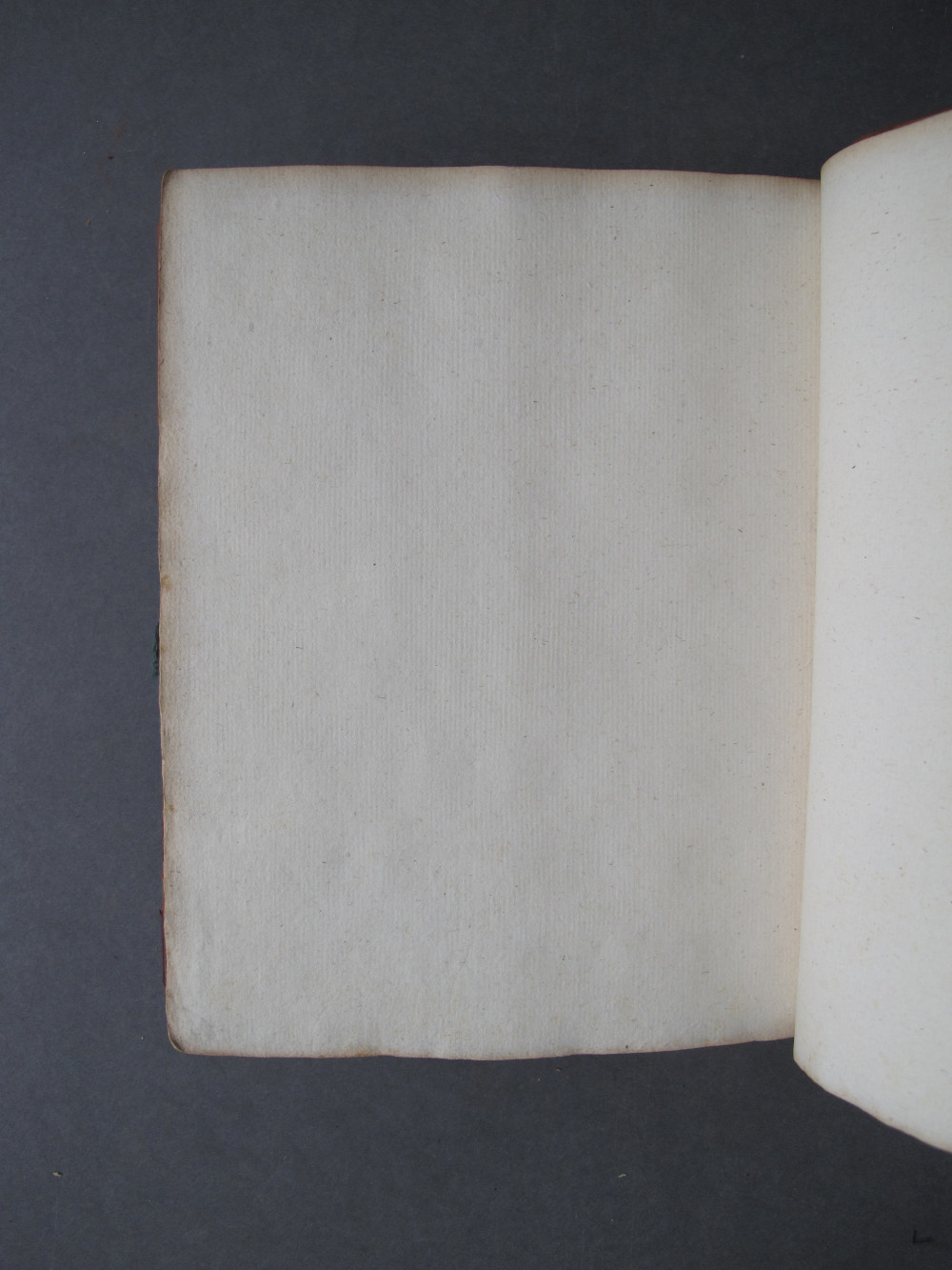Folio 393 verso