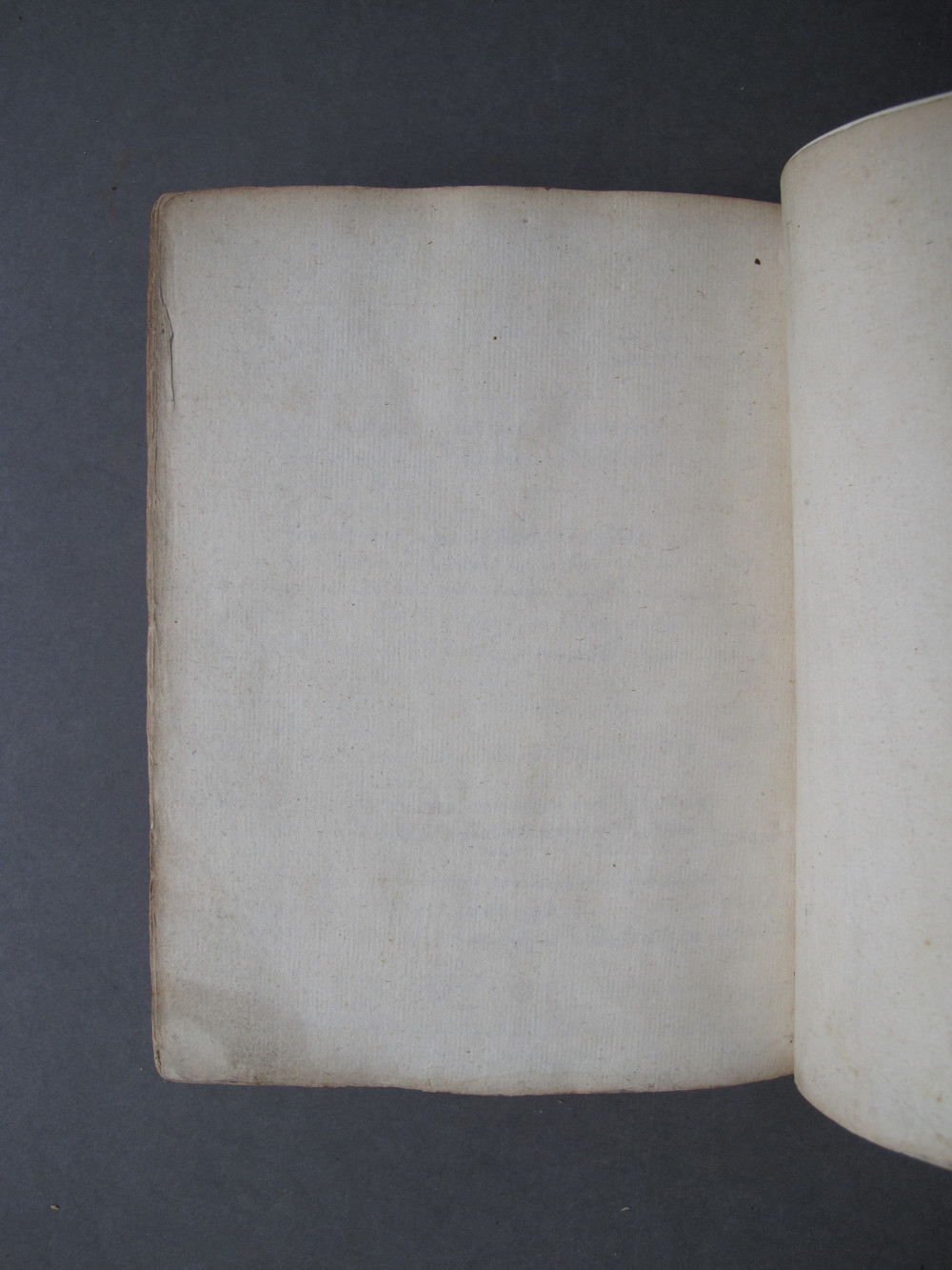 Folio 411 verso