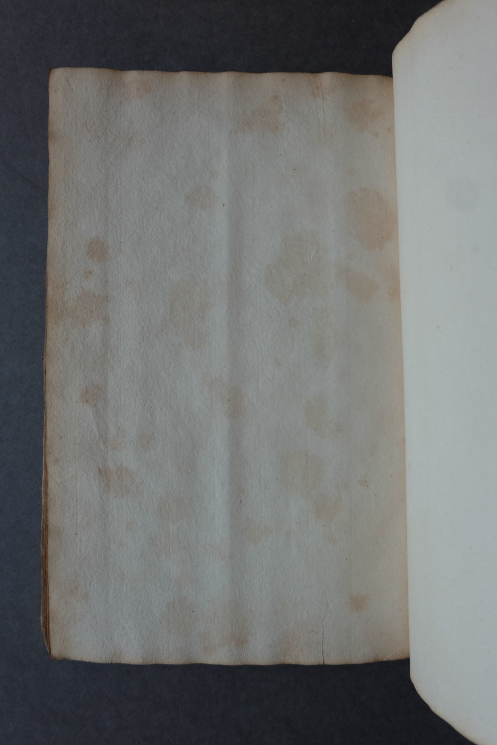 Folio 77 verso