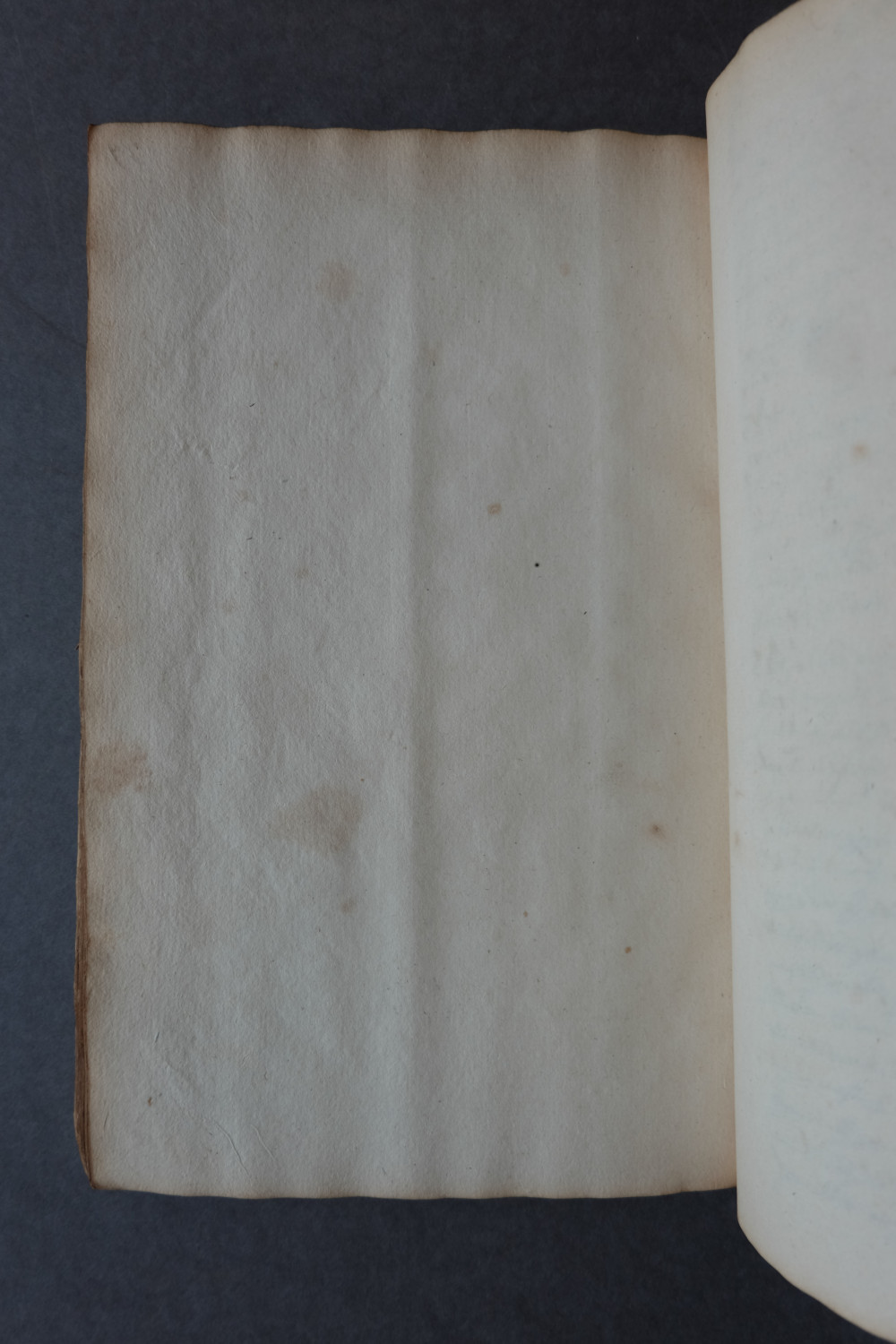 Folio 79 verso