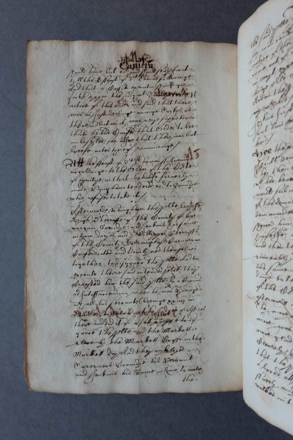 Folio 100 verso