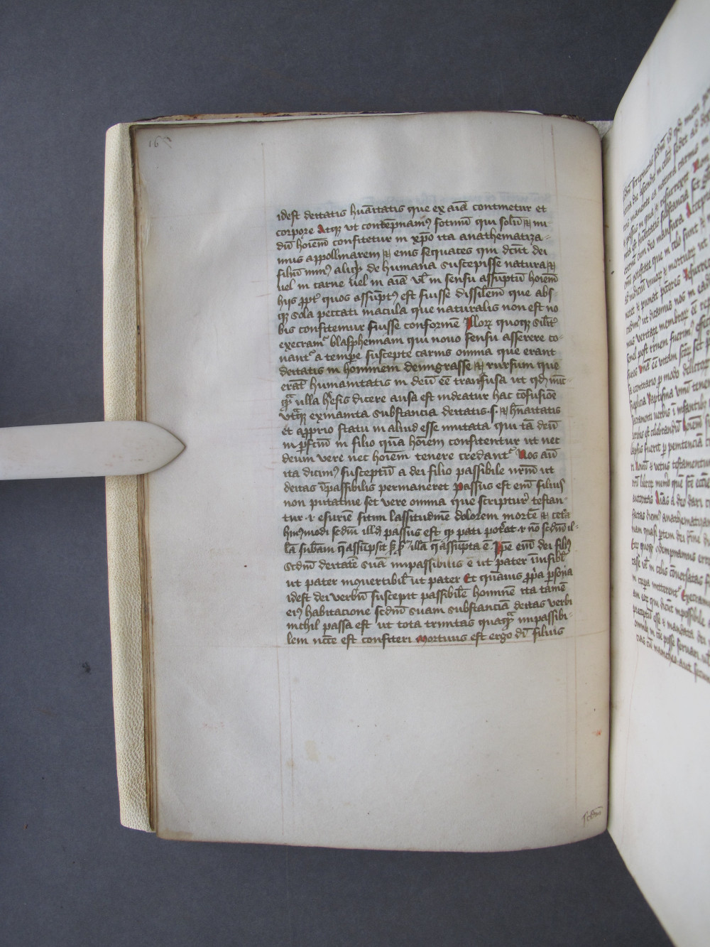 Folio 8 verso