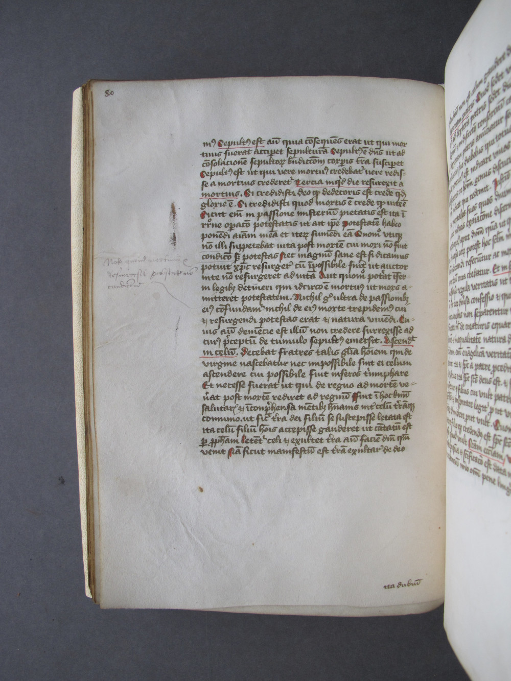 Folio 40 verso