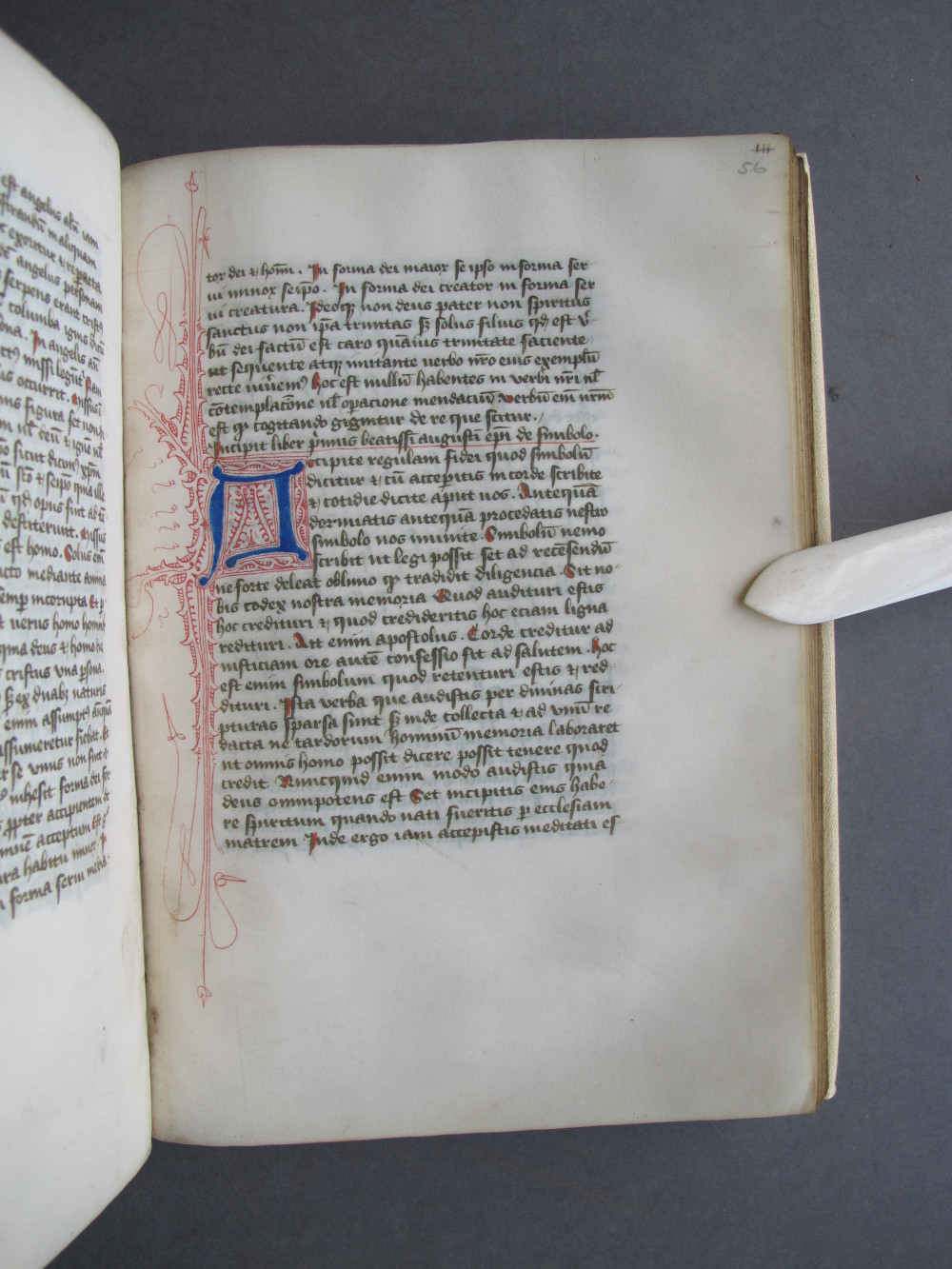 Folio 56 recto