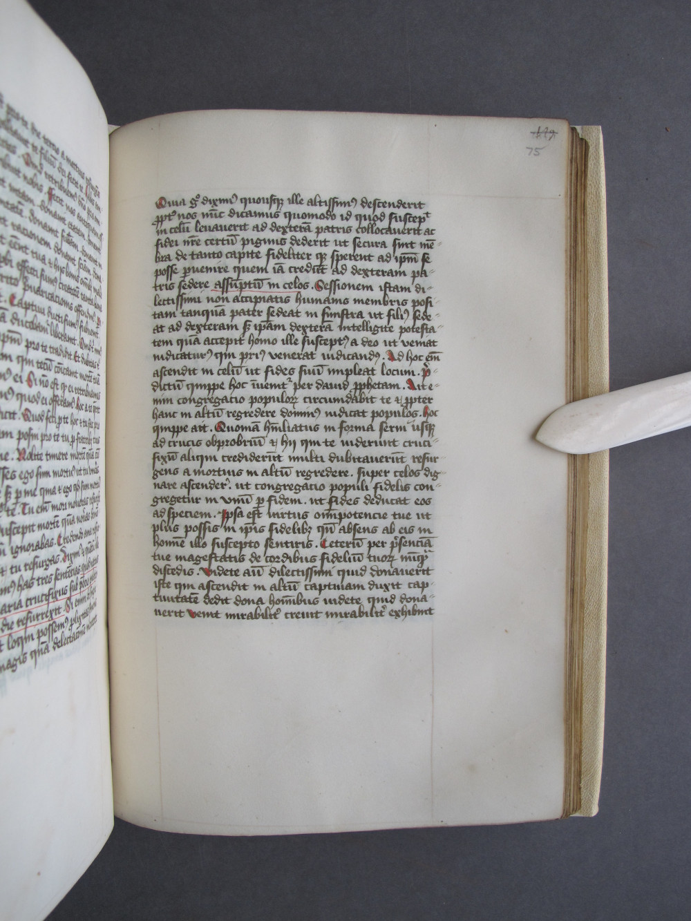Folio 75 recto