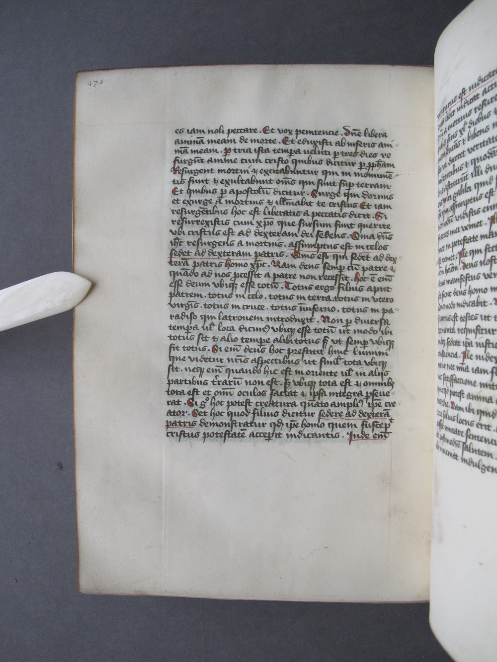 Folio 87 verso