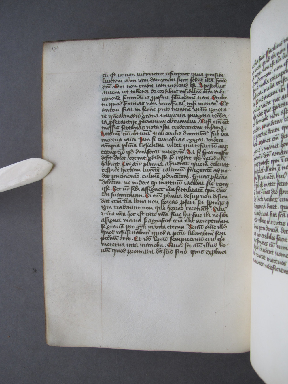 Folio 89 verso