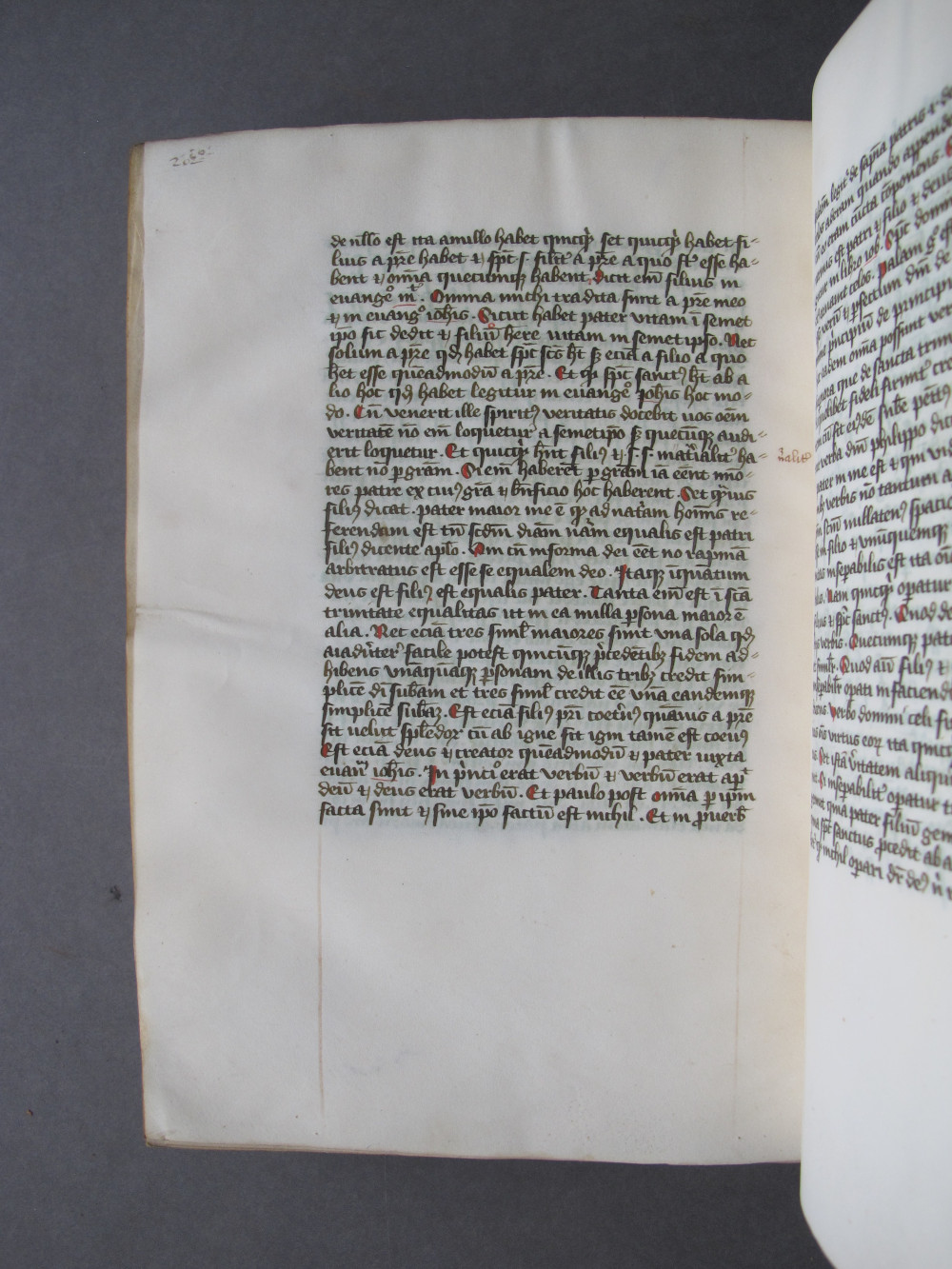 Folio 101 verso