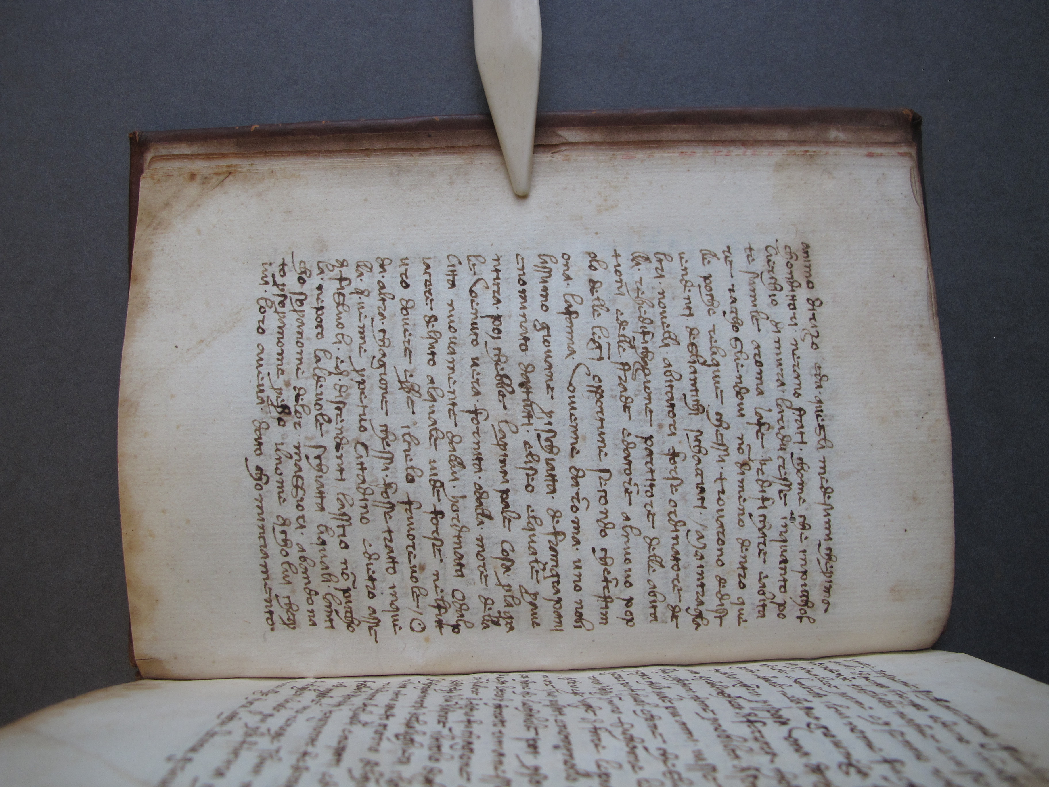 Folio 4 verso