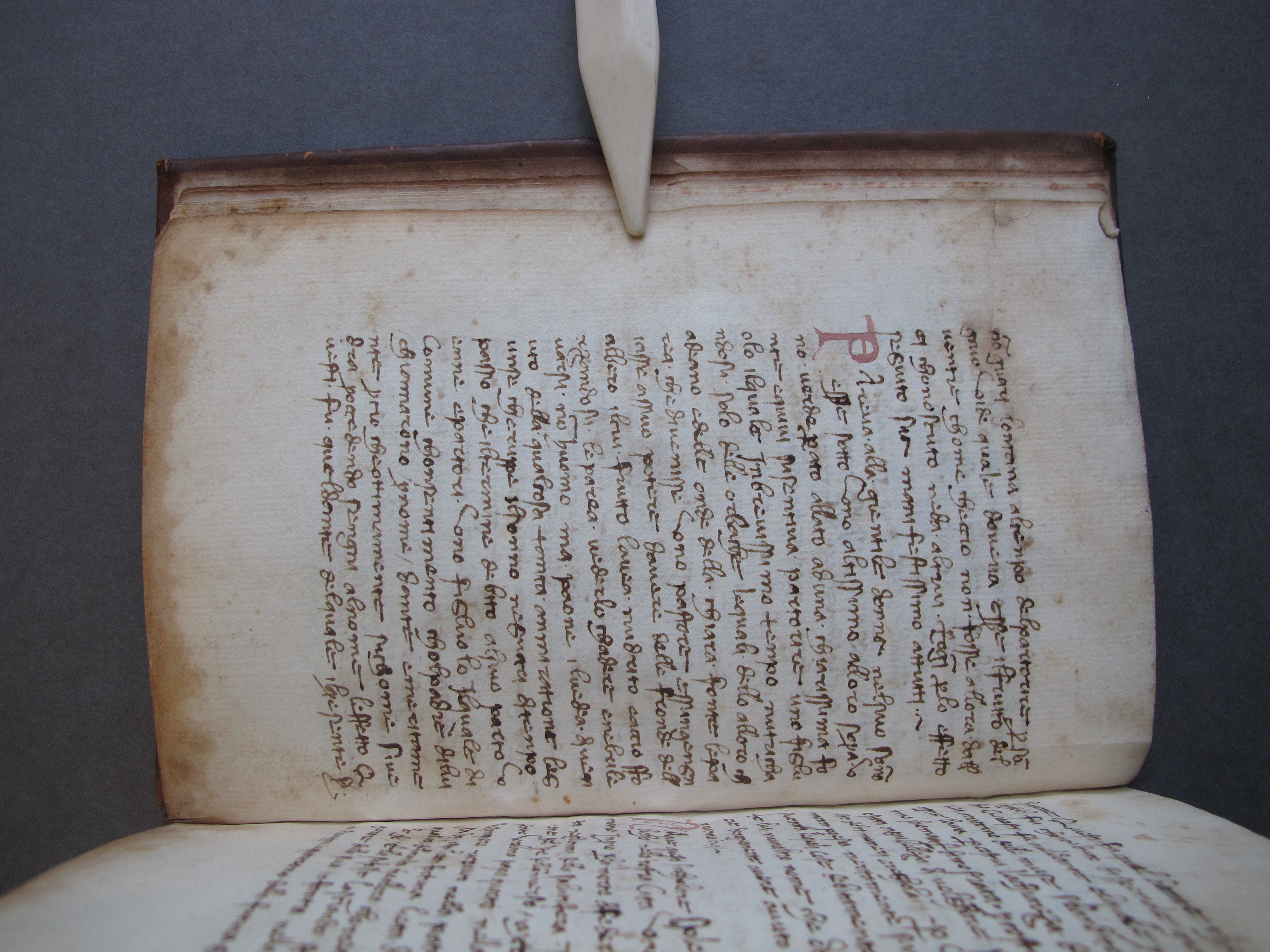 Folio 5 verso