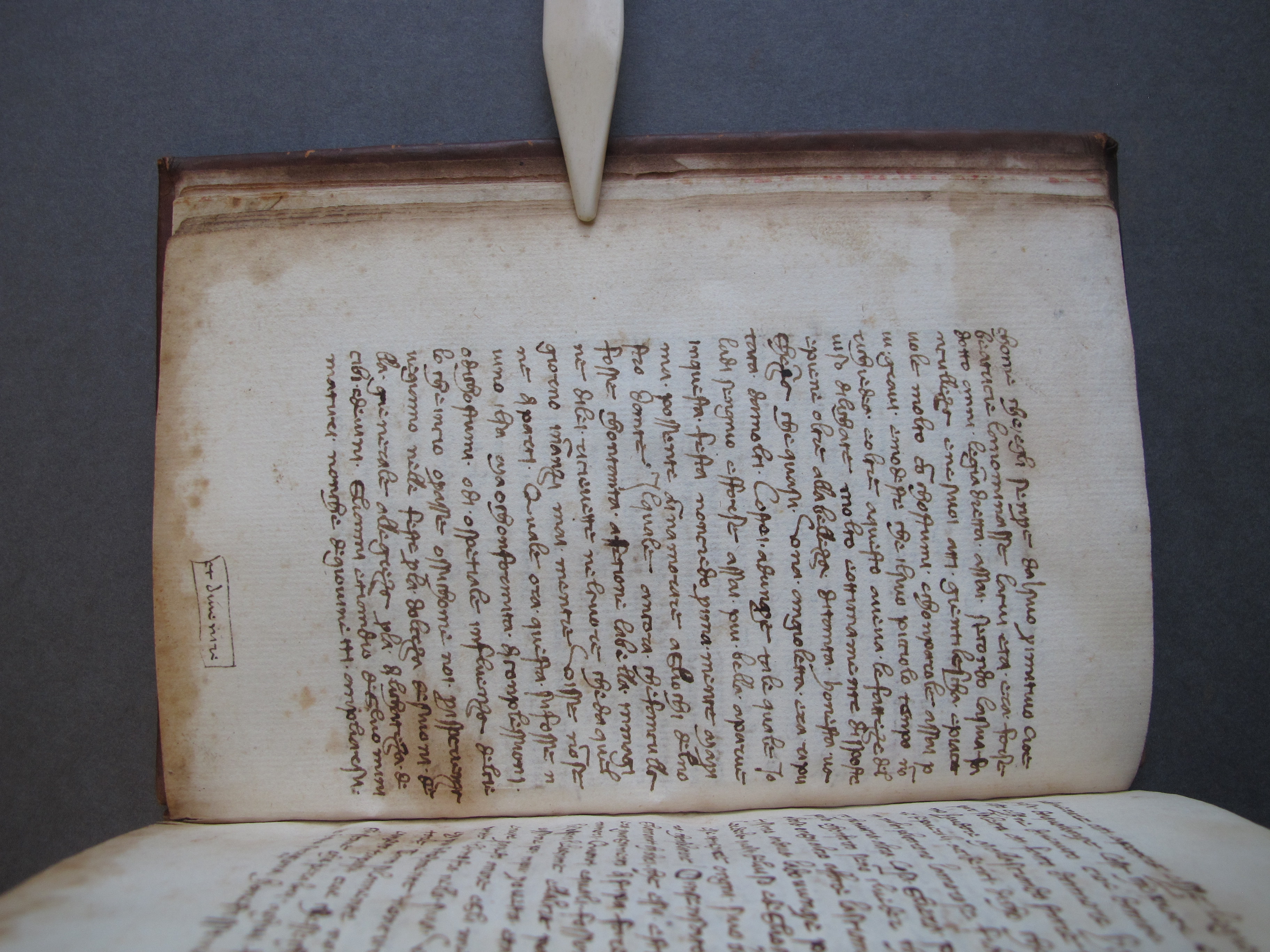 Folio 8 verso