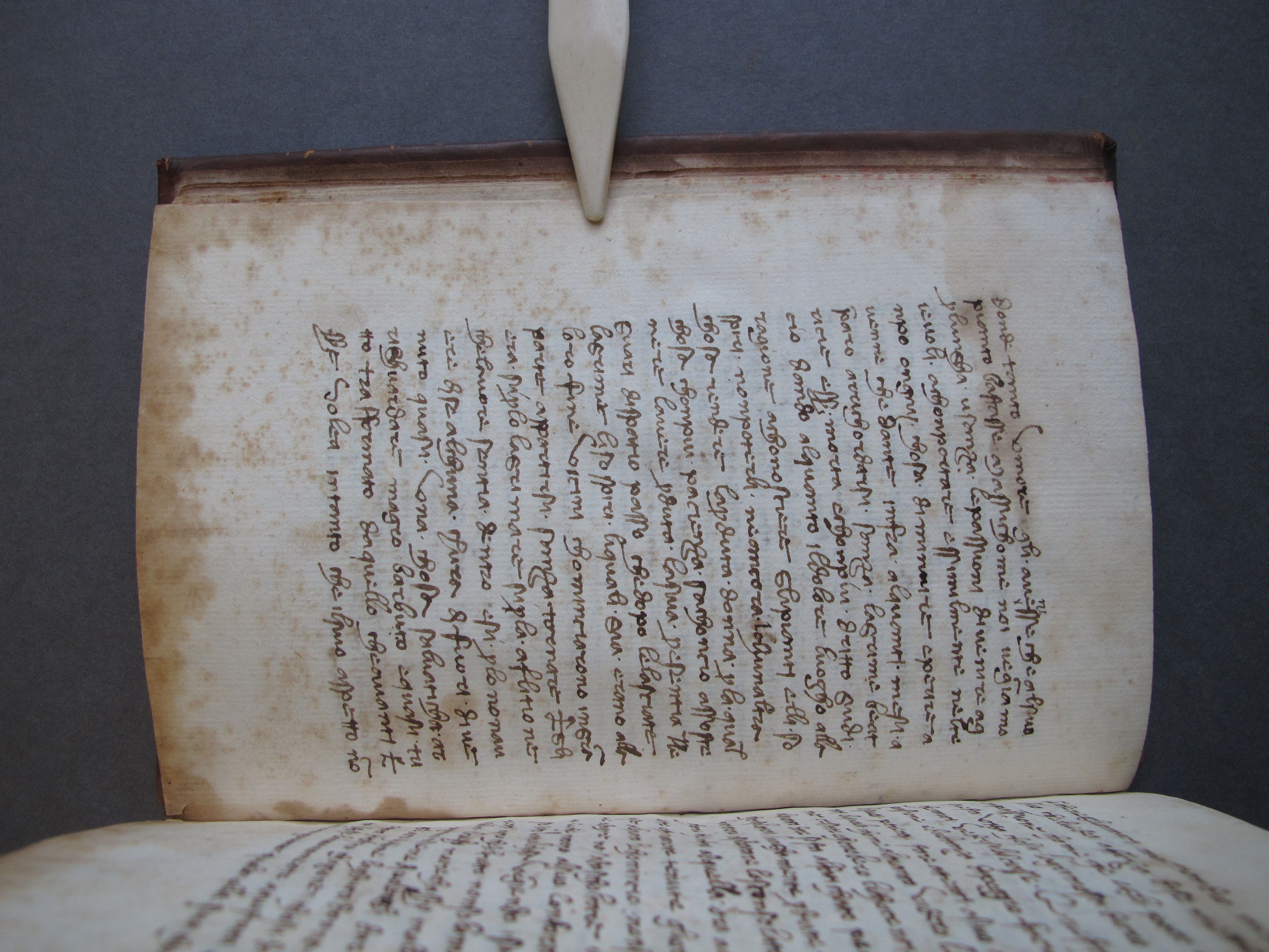 Folio 10 verso