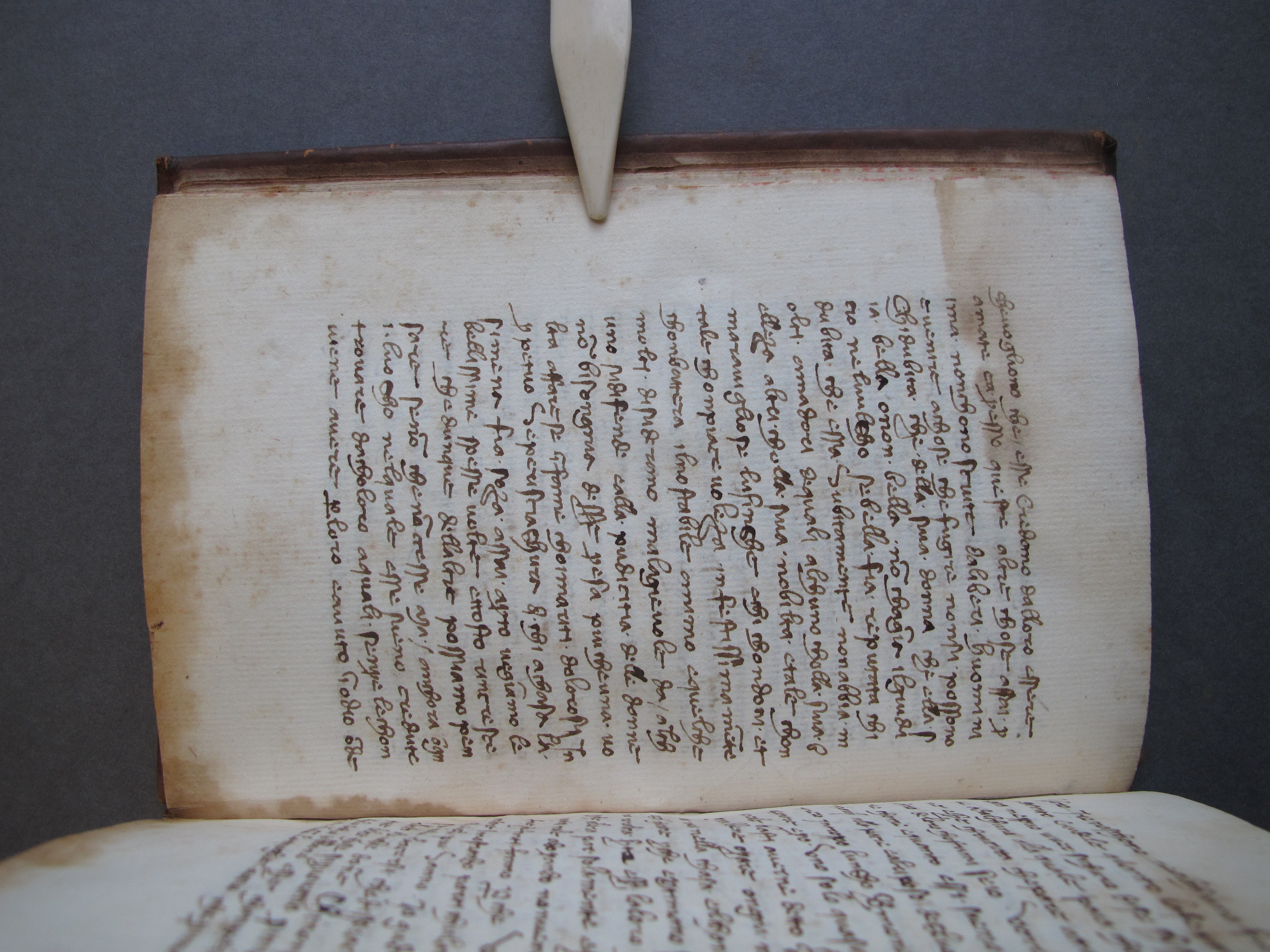 Folio 13 verso