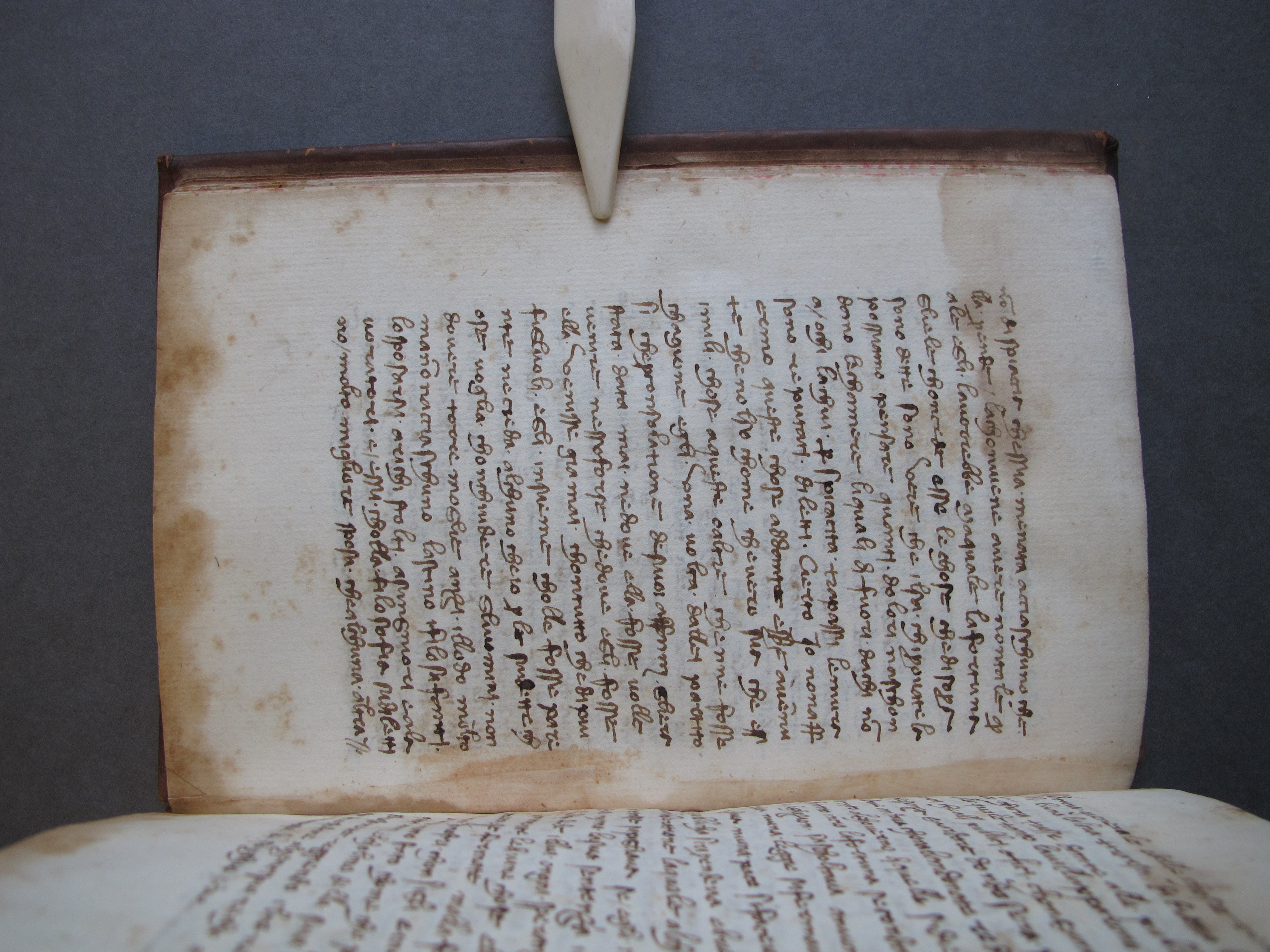 Folio 14 verso