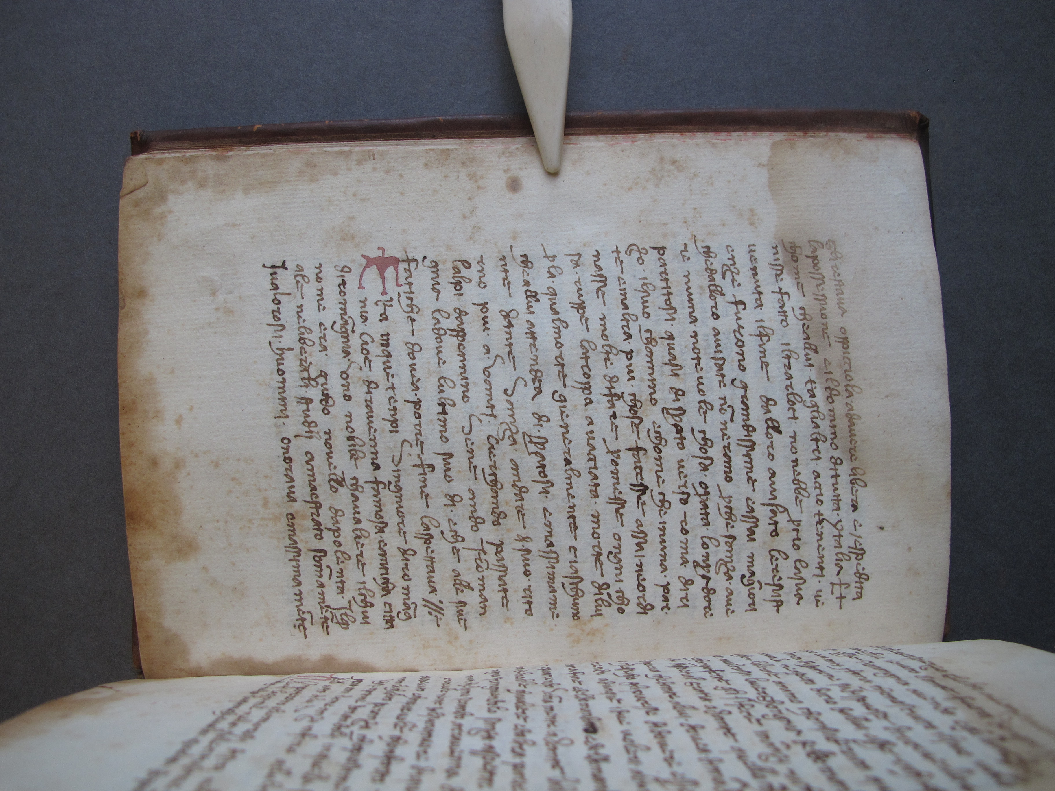 Folio 19 verso