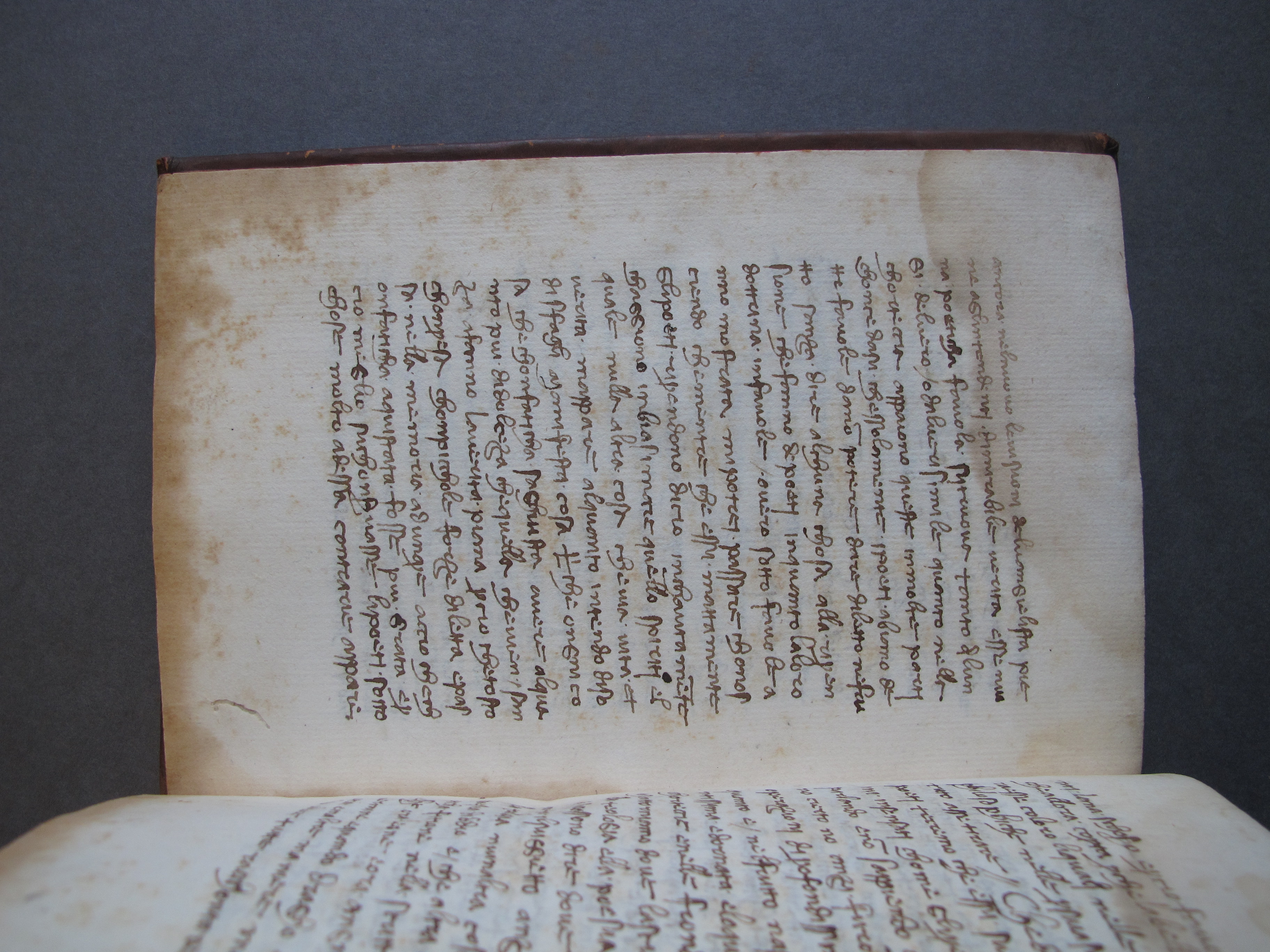 Folio 36 verso