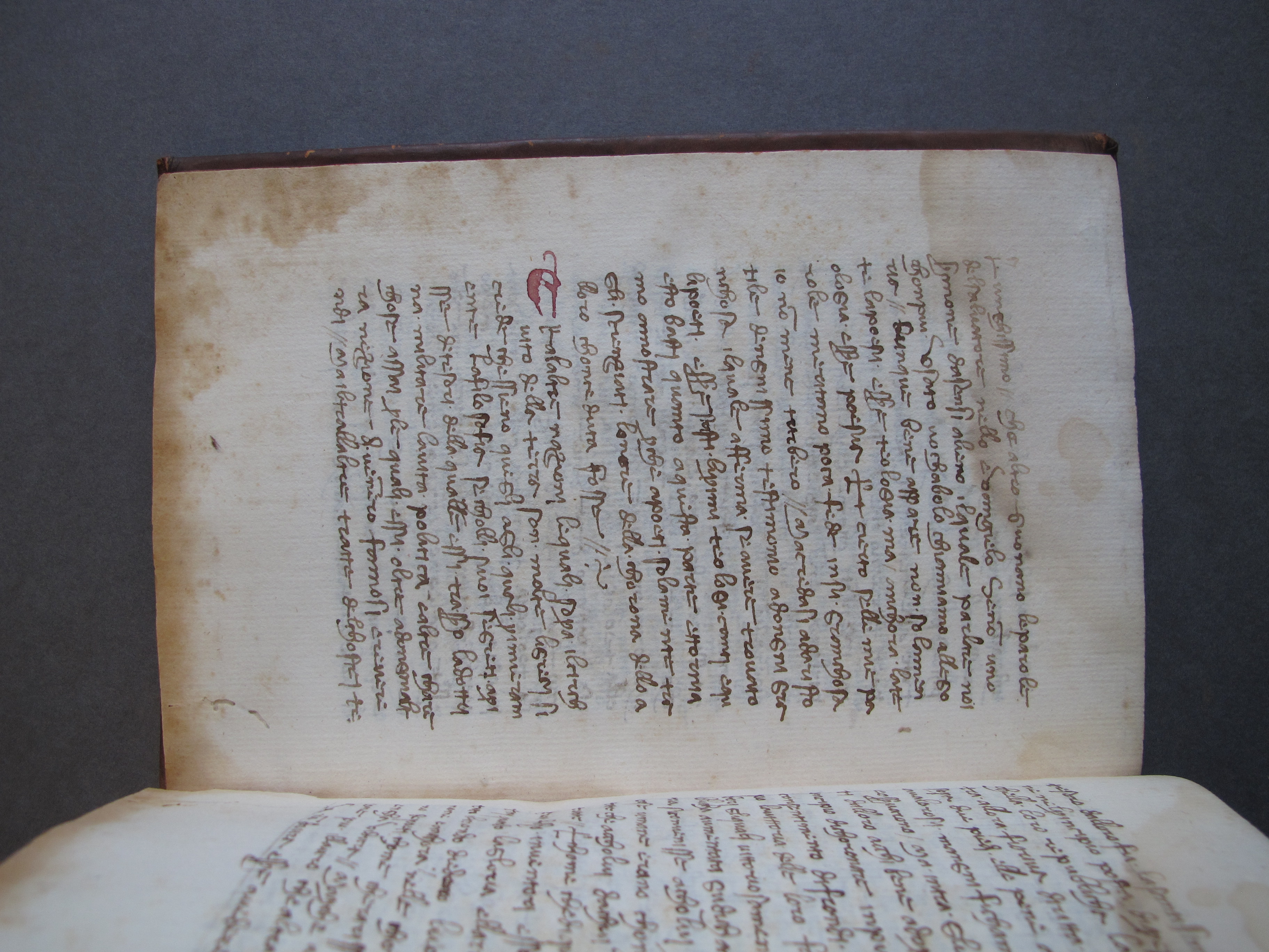 Folio 37 verso