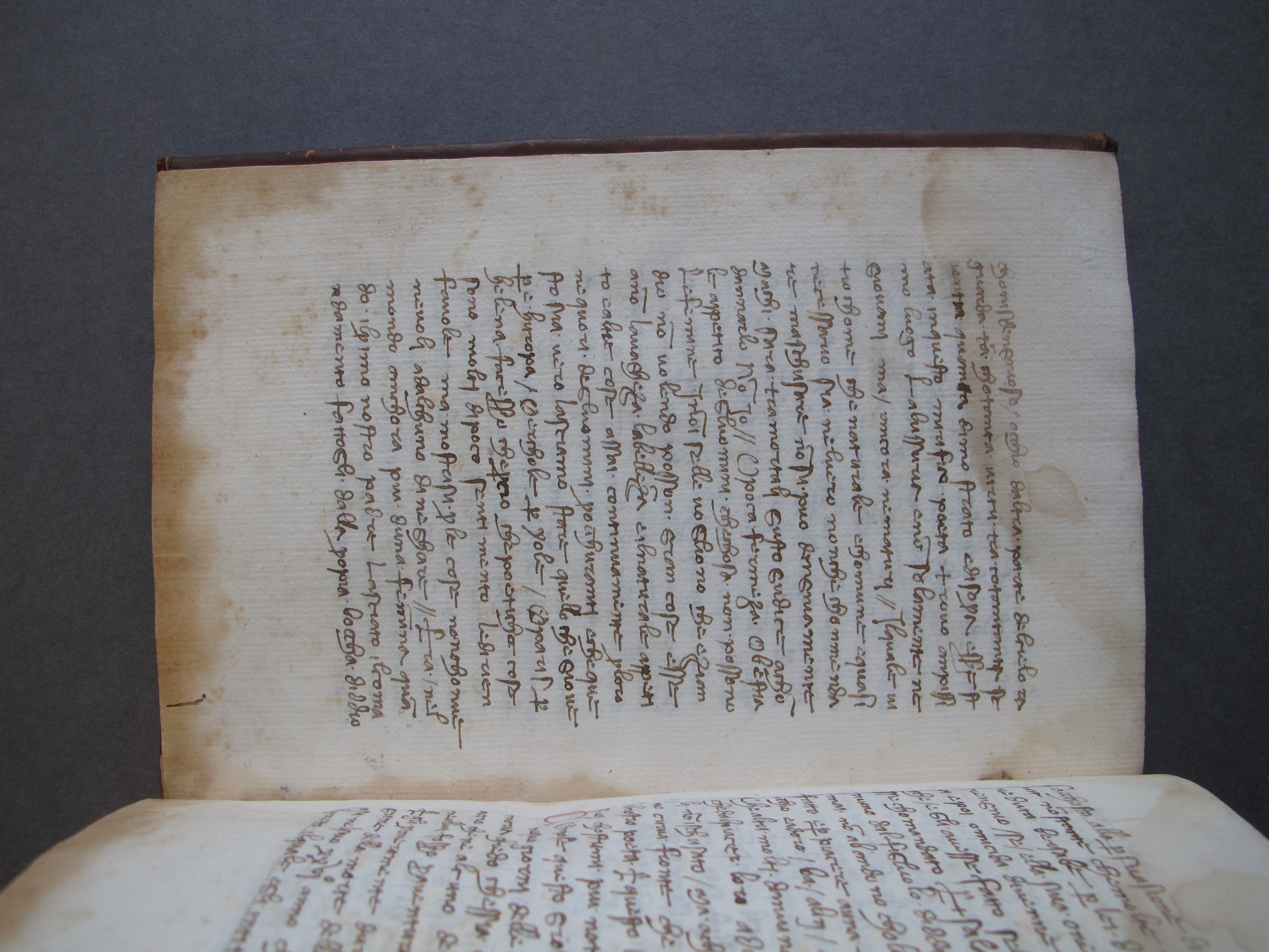 Folio 41 verso
